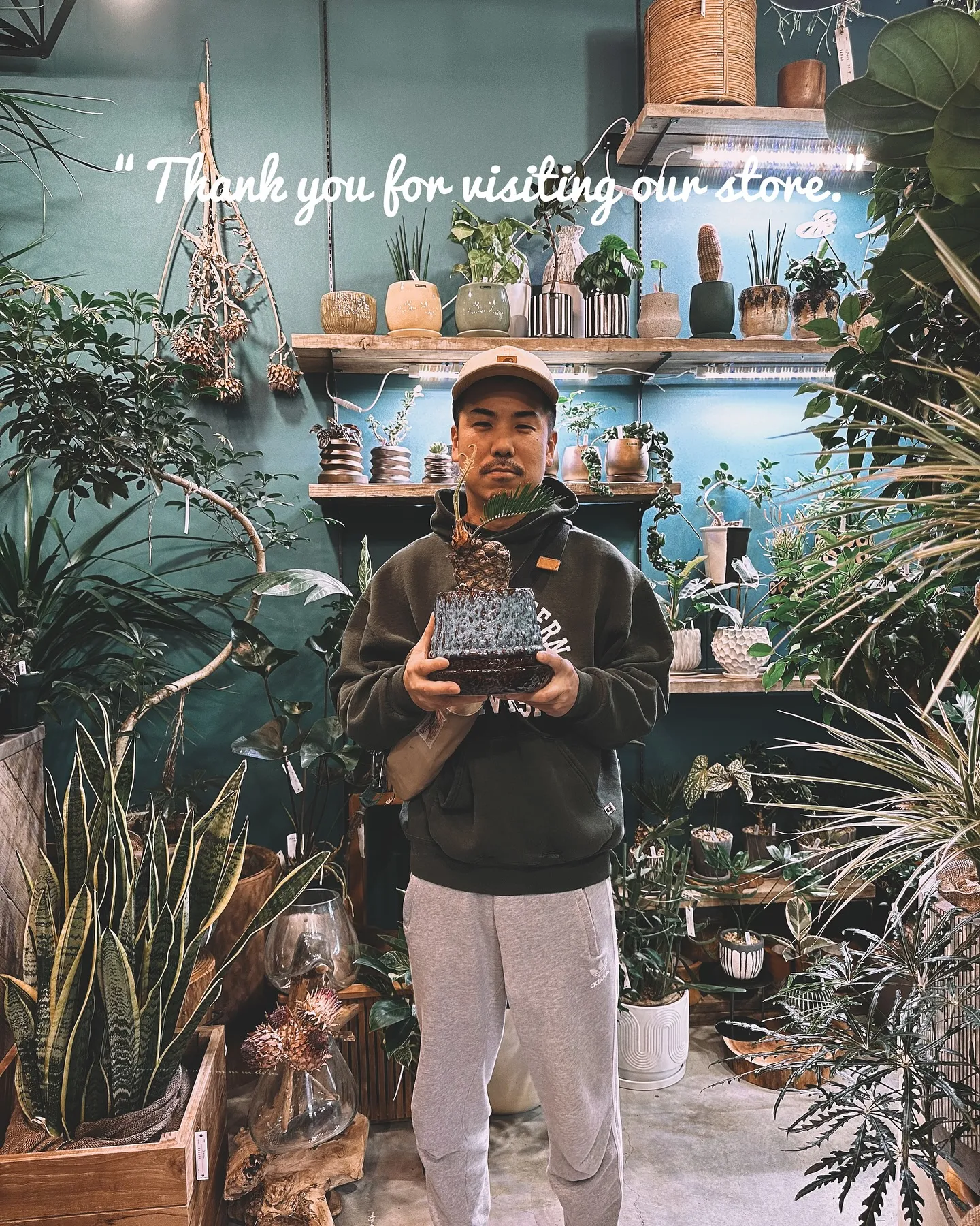 【インテリアにおすすめ観葉植物！多数展開中です😊】