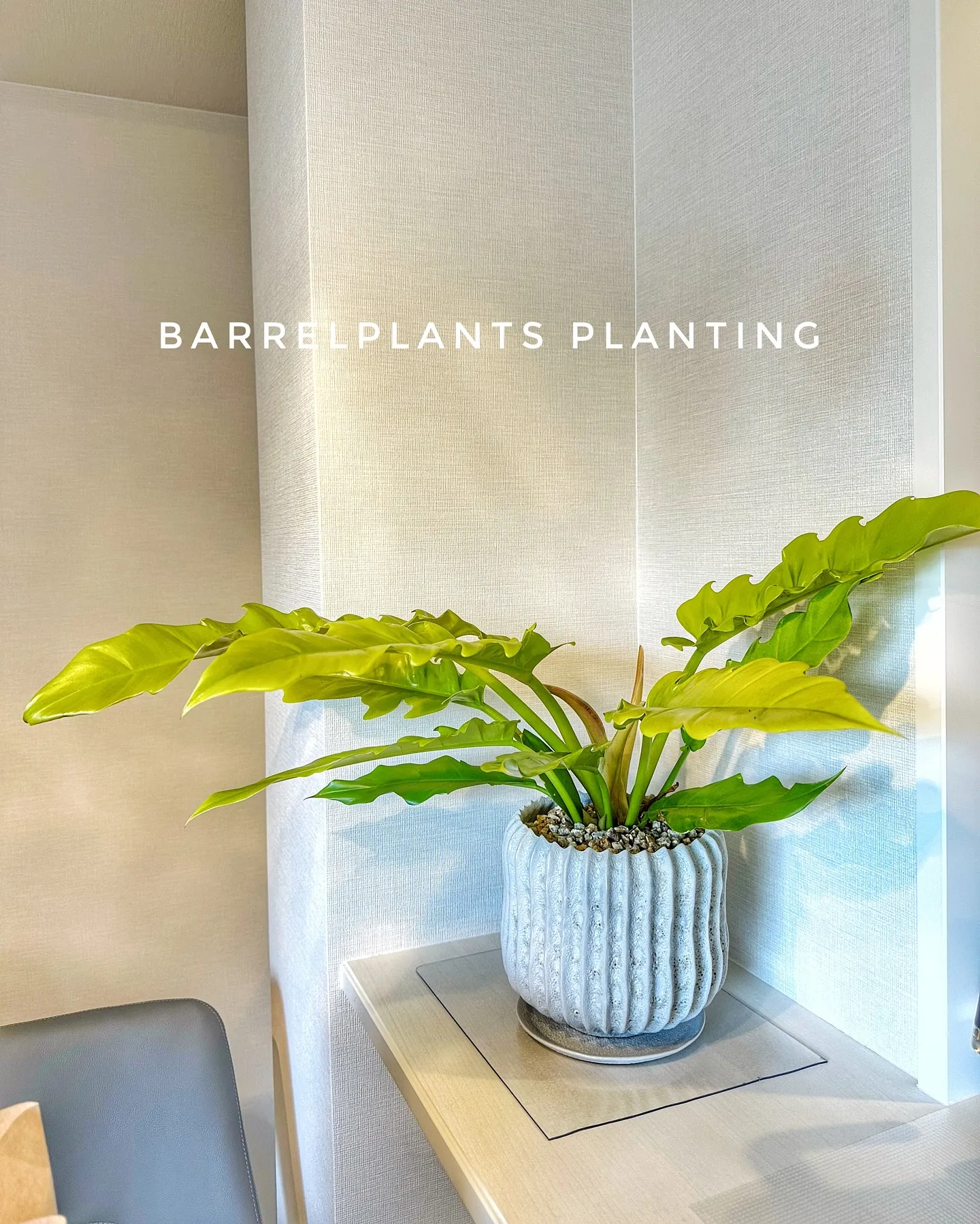 【マンションのベランダのプランニングも承っております！bar...