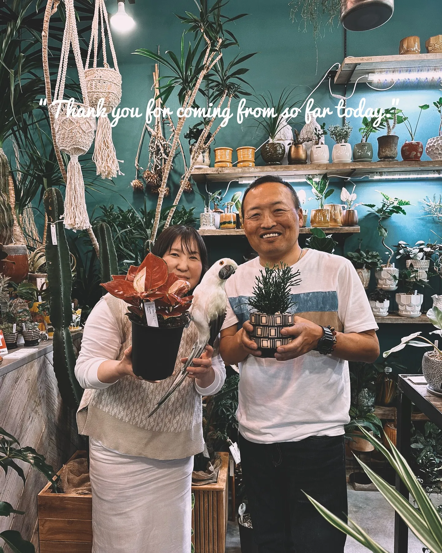 【barrelplantsのこだわりセレクトの植物達！！】