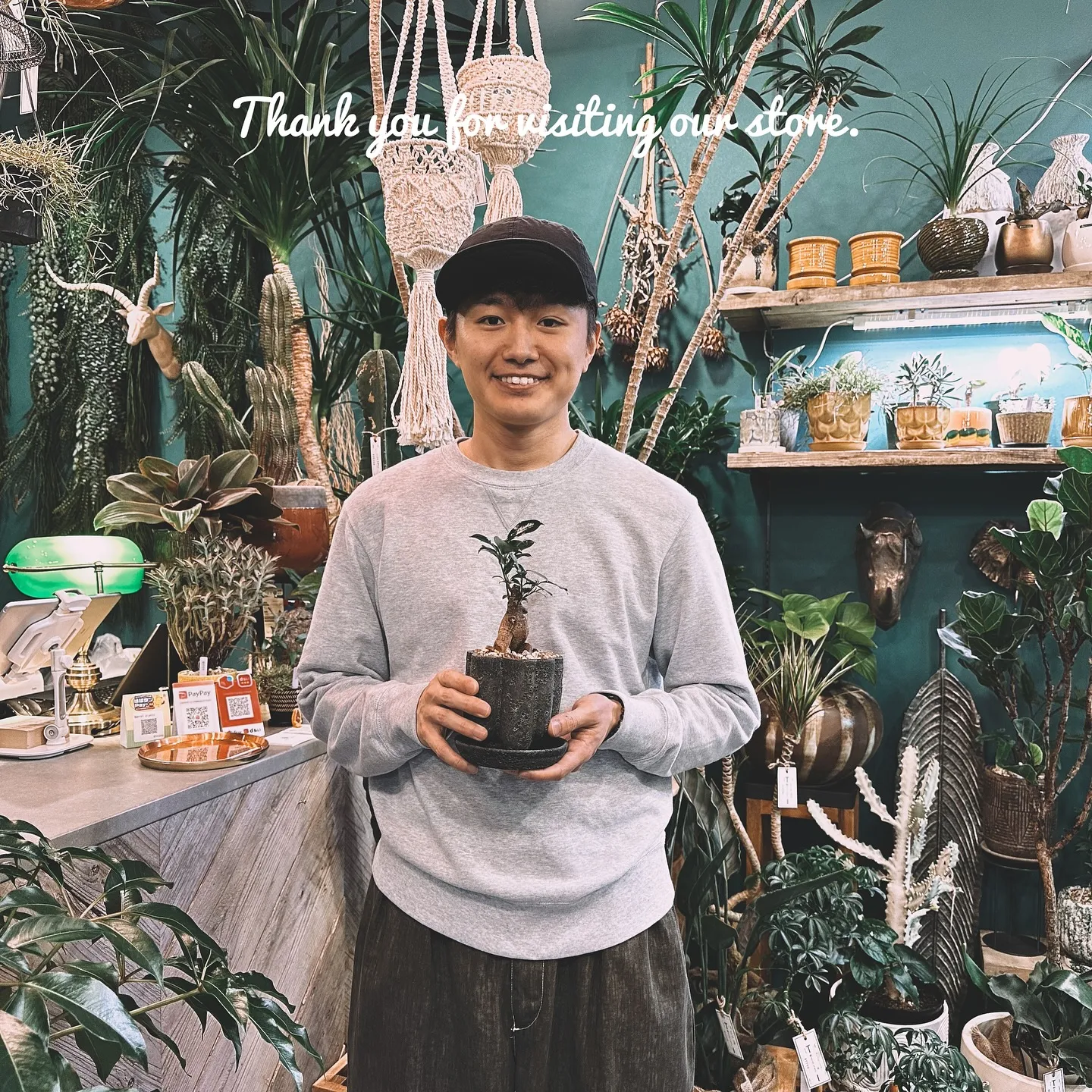 【ネットショッピングベイスに商品追加！barrelplant...