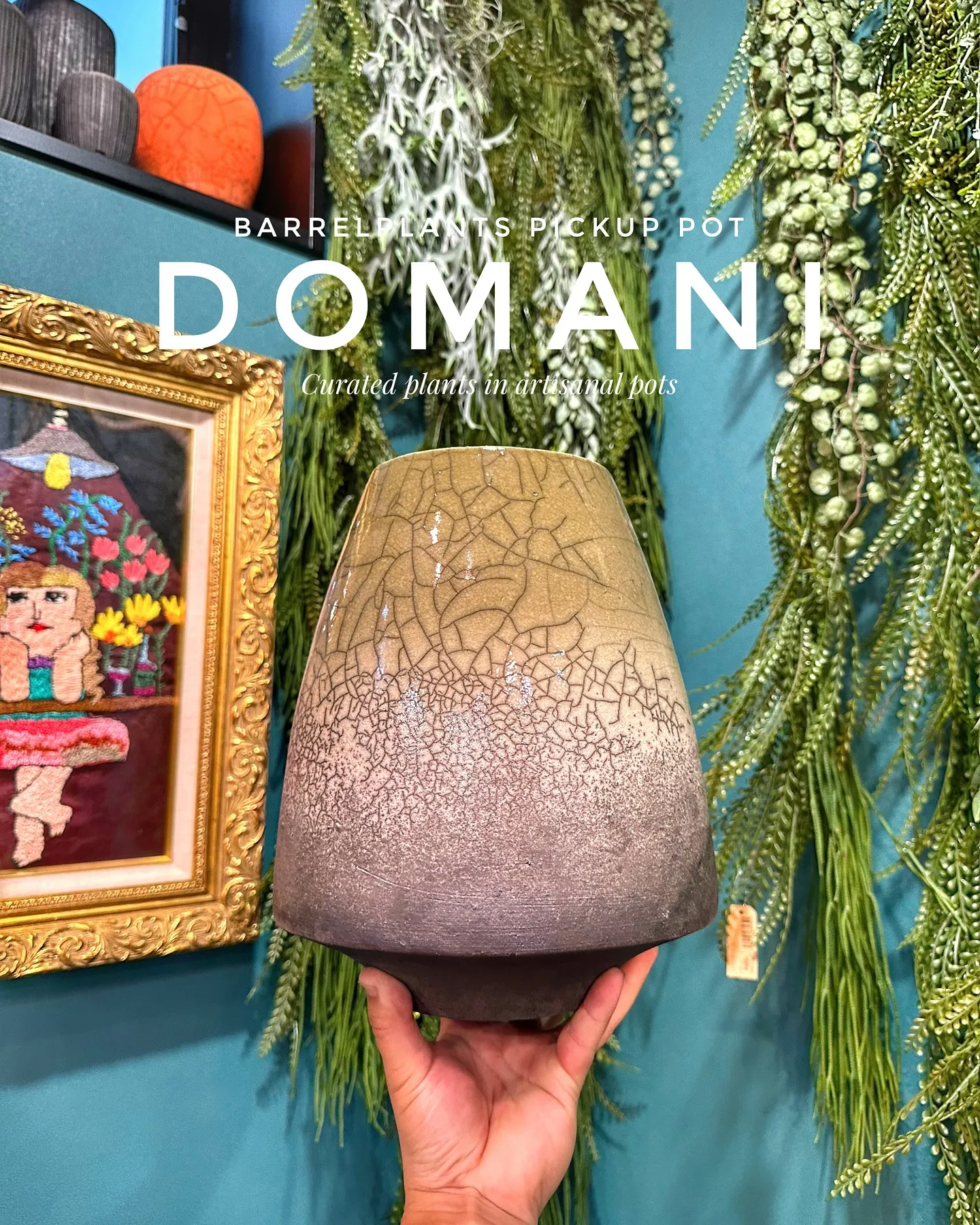 【鉢メーカートップブランド『Domani/ドマーニ』の鉢入荷...