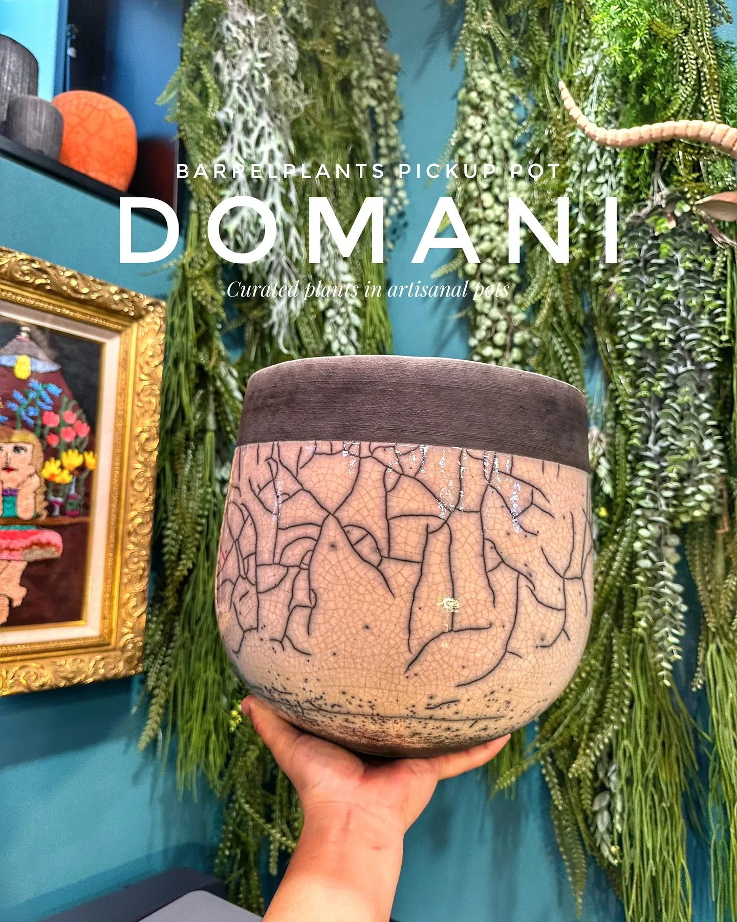 【鉢メーカートップブランド『Domani/ドマーニ』の鉢入荷...