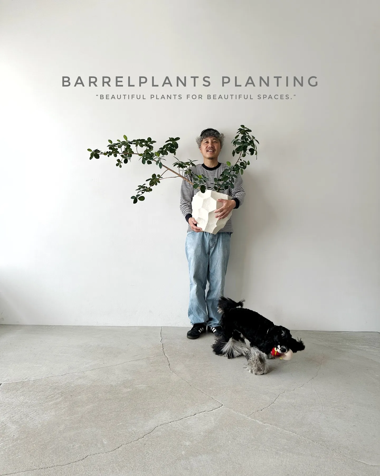 【いい出逢いがある植物専門店、barrelplantsにぜひ...