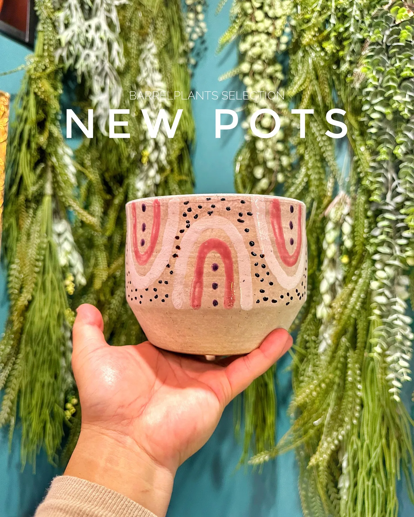 【個性的な鉢多数入荷！！植物専門店バーレルプランツを要チェッ...