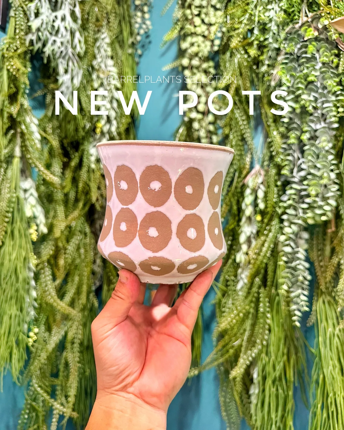 【個性的な鉢多数入荷！！植物専門店バーレルプランツを要チェッ...