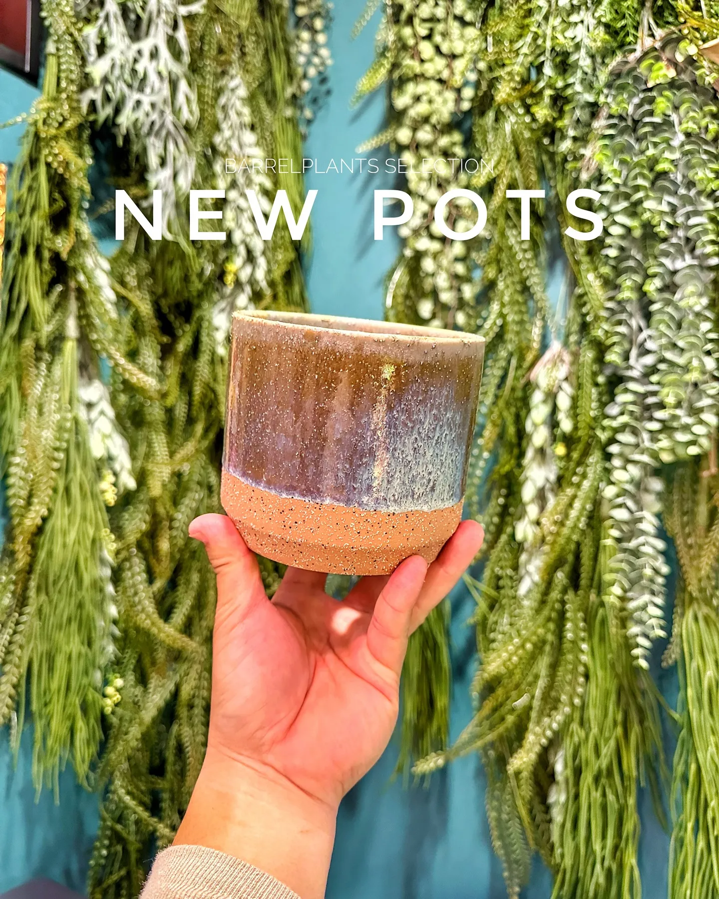 【個性的な鉢多数入荷！！植物専門店バーレルプランツを要チェッ...