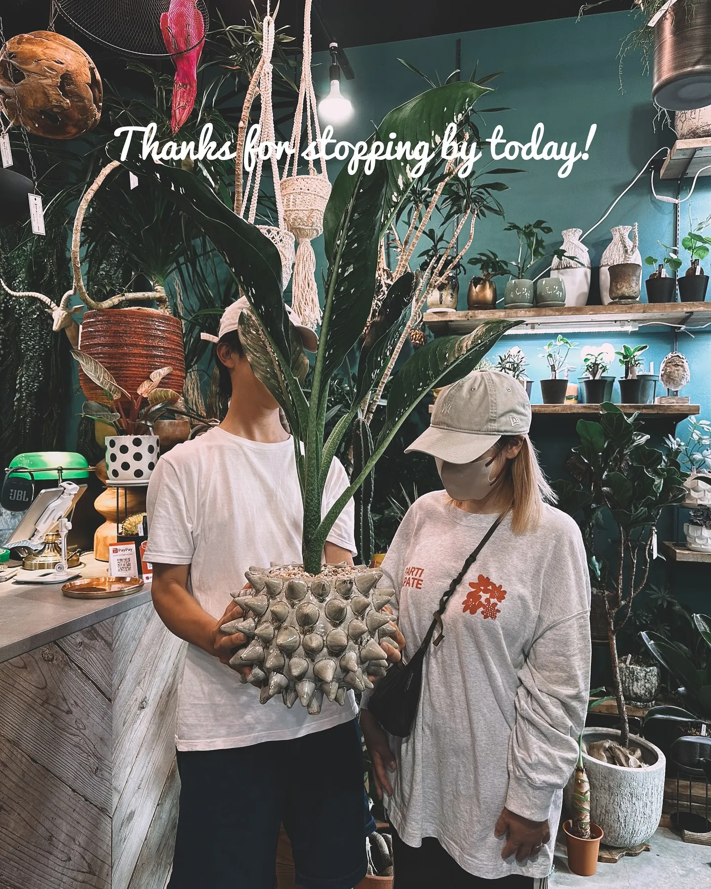 【こだわりの鉢とこだわりの植物がある植物専門店、barrel...
