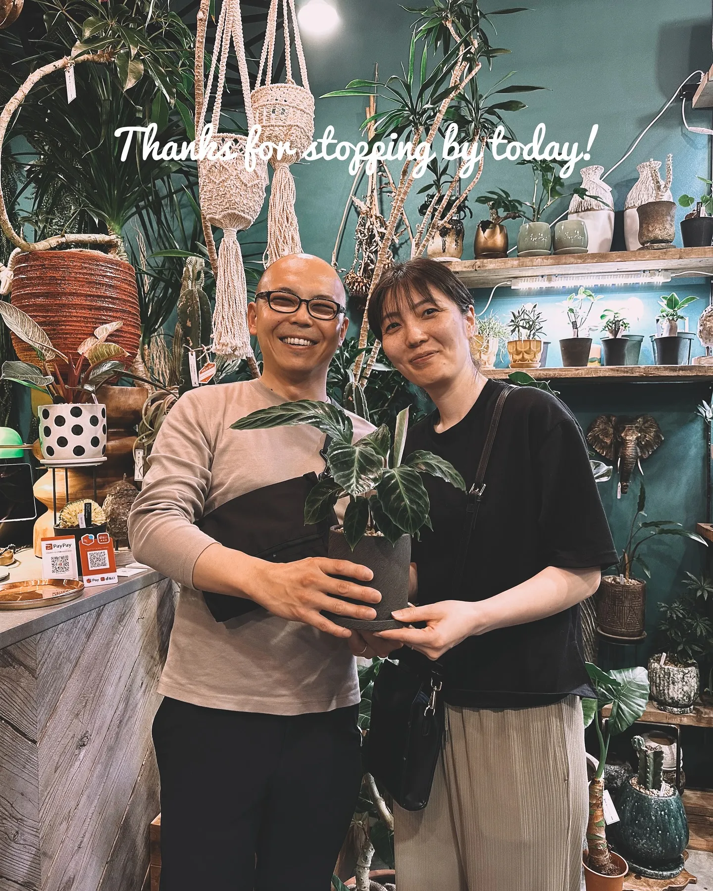 【こだわりの鉢とこだわりの植物がある植物専門店、barrel...
