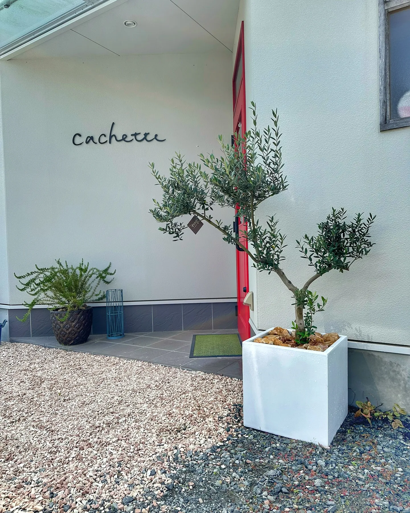 【こだわりの鉢とこだわりの植物がある植物専門店、barrel...