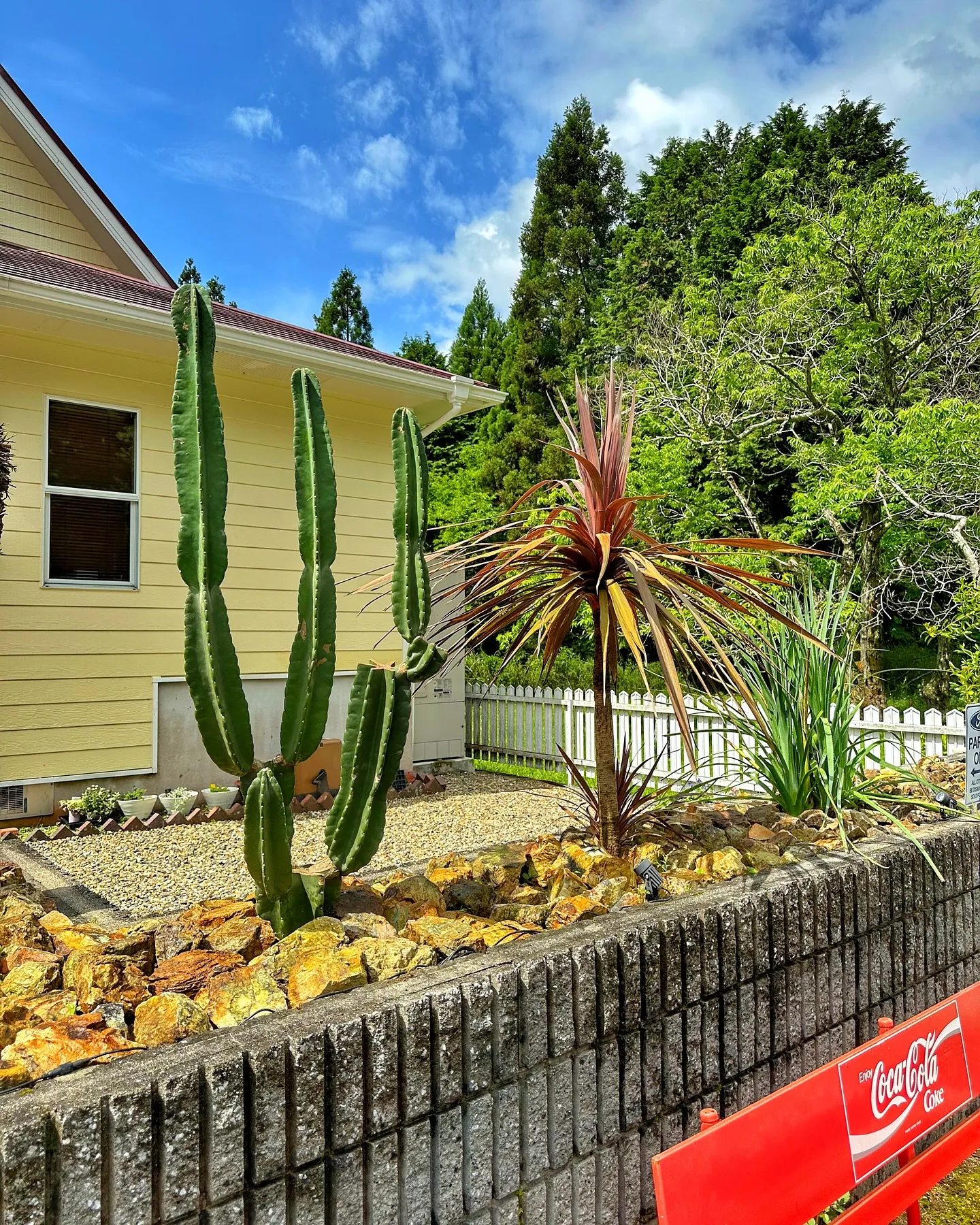【ホンモノのドライフラワーオブジェ、barrelplants...