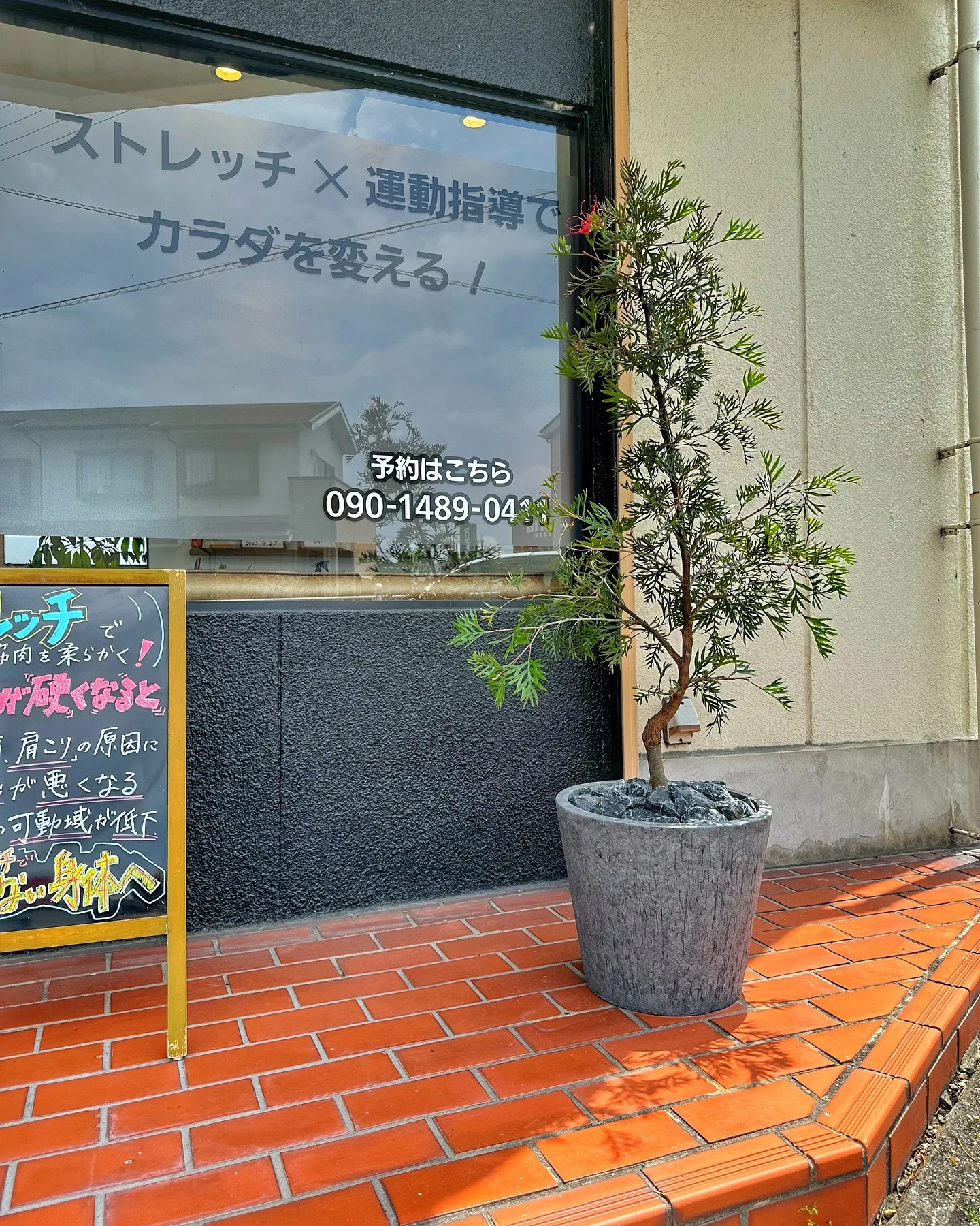 【ホンモノのドライフラワーオブジェ、barrelplants...