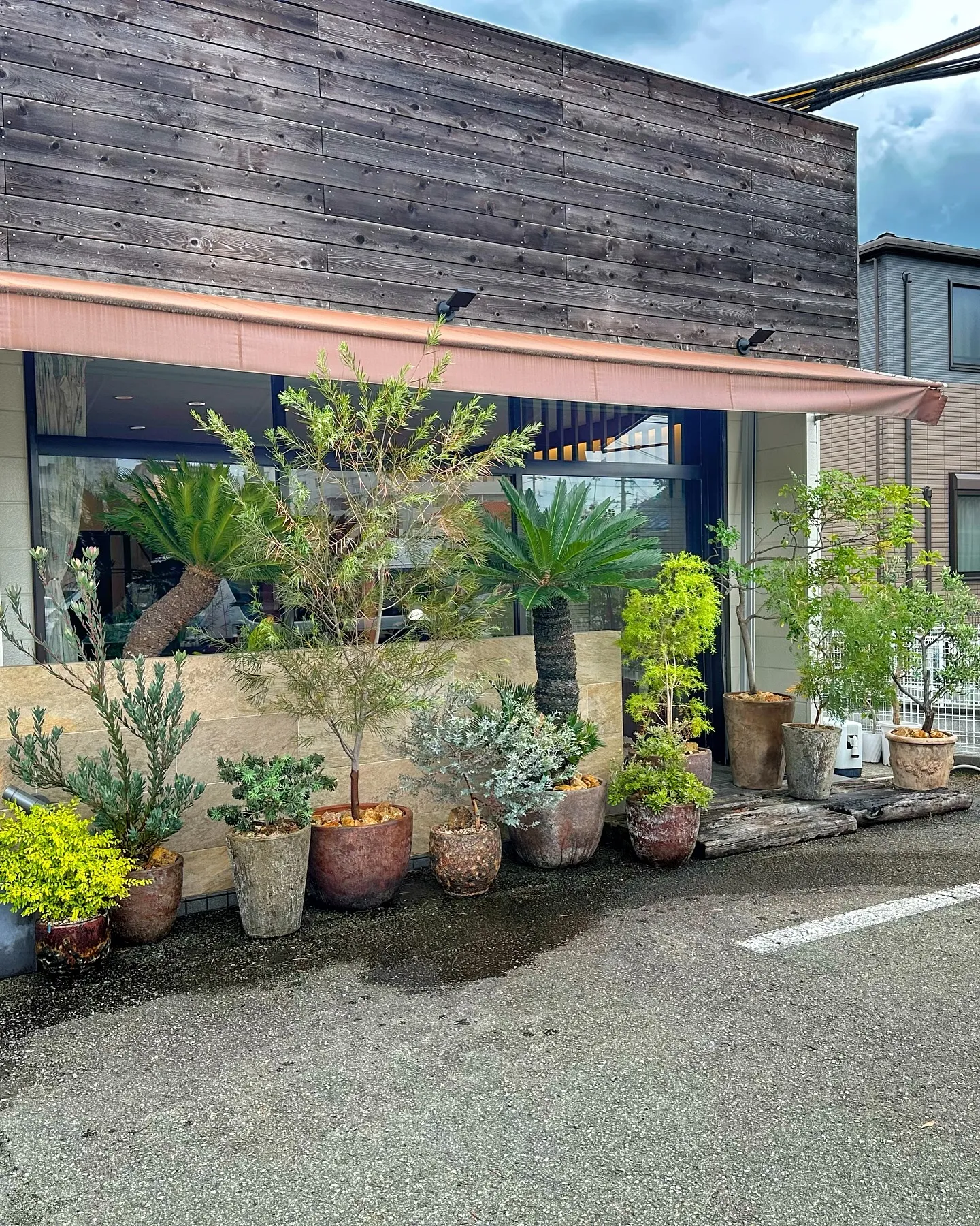 【ホンモノのドライフラワーオブジェ、barrelplants...