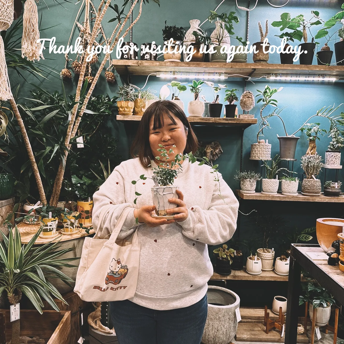 【兵庫県たつの市にある植物専門店、barrelplants/...