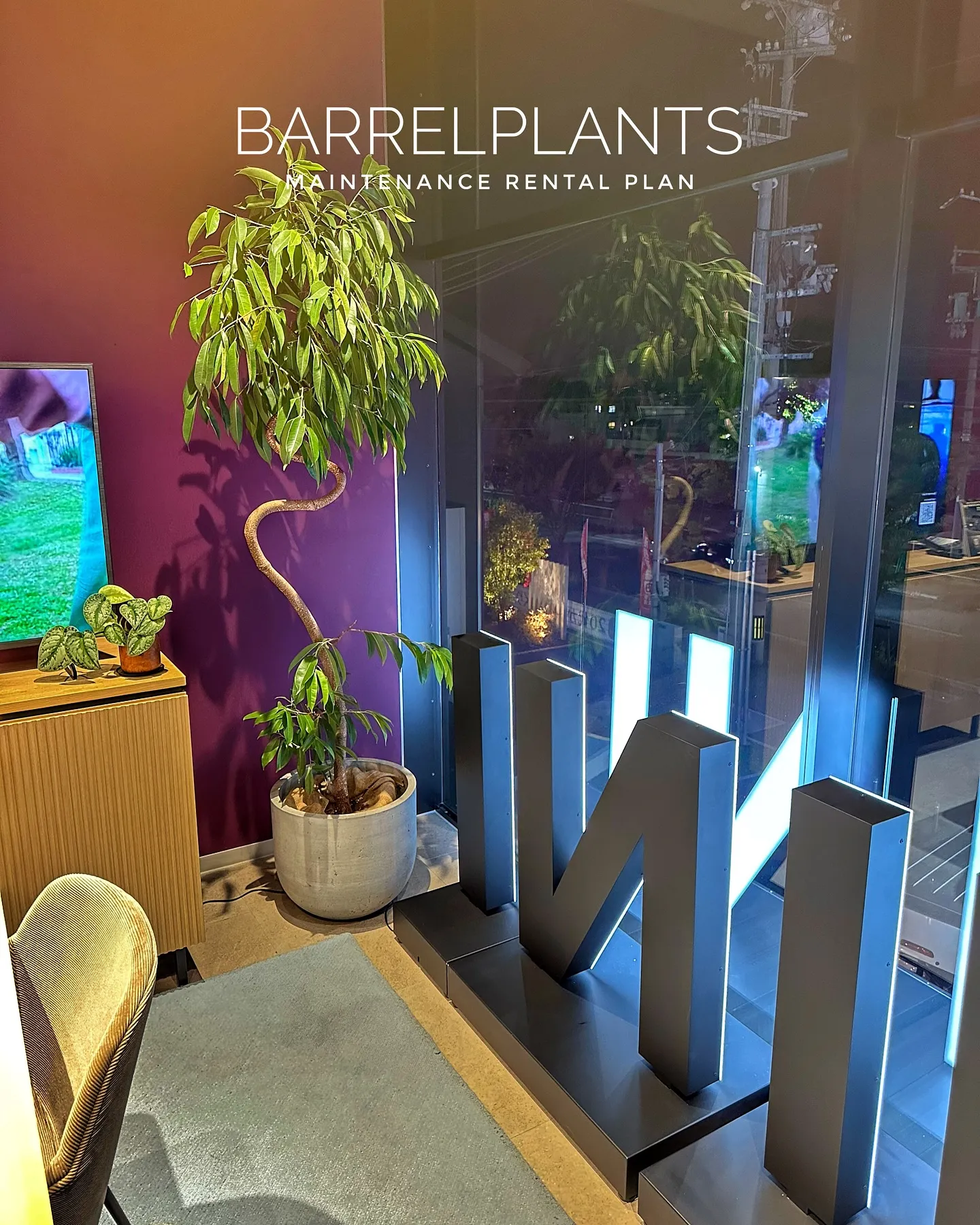【植物のレンタルなお仕事。