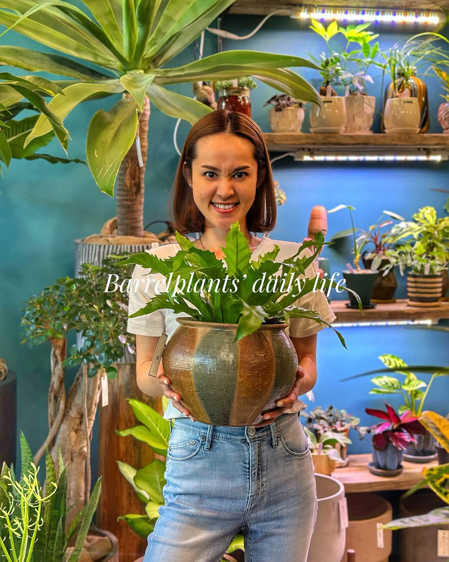 【barrelplantsの夜はなんともいい雰囲気♪植物が休...