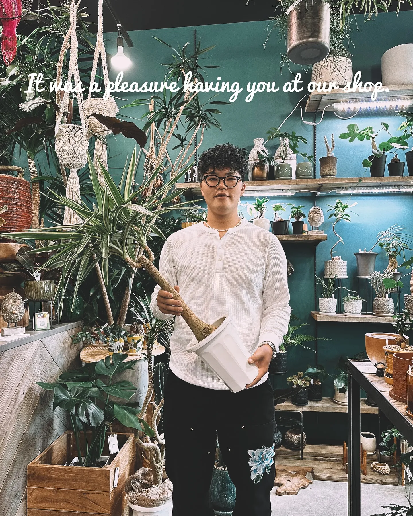 【barrelplantsの夜はなんともいい雰囲気♪植物が休...