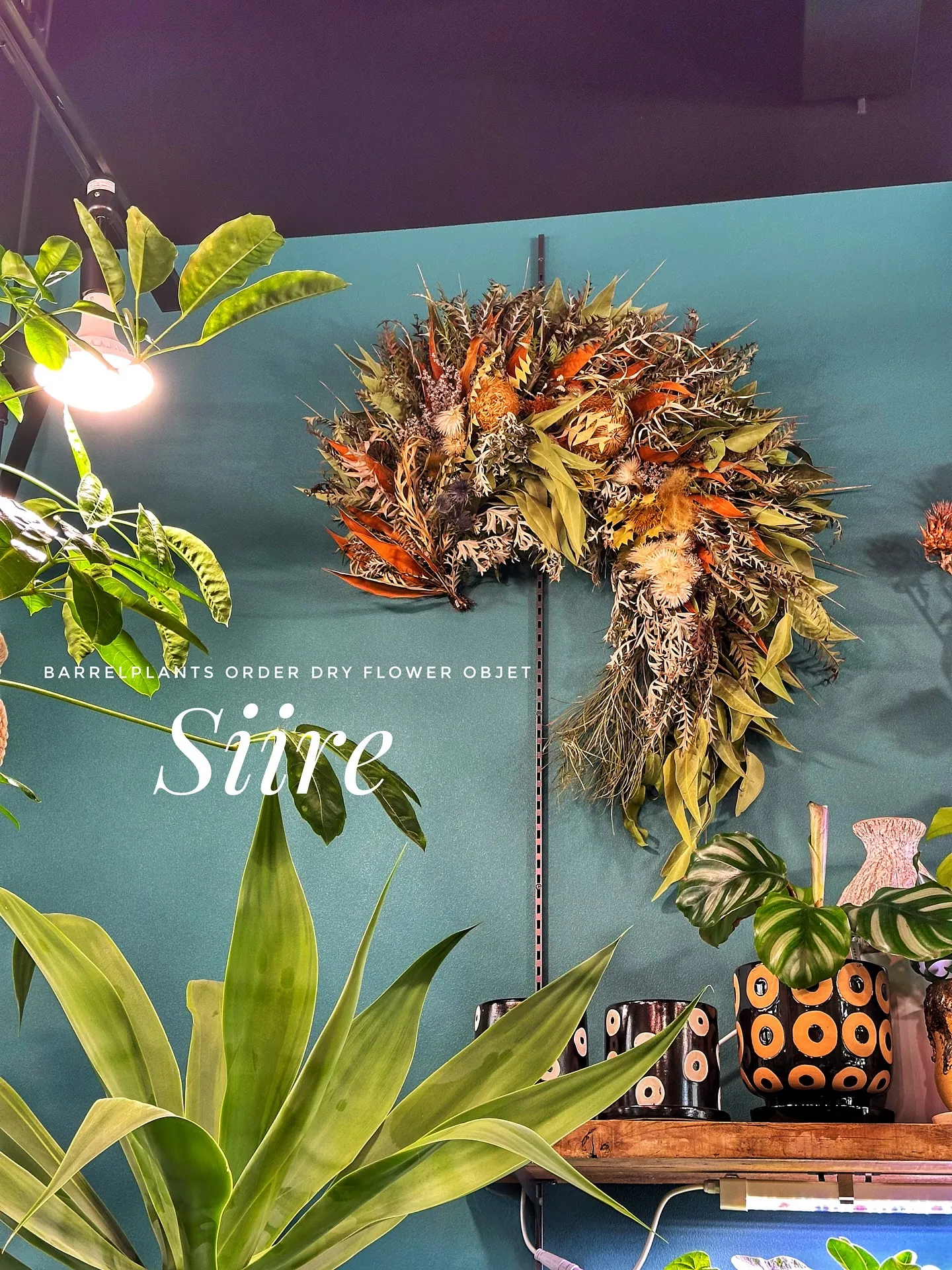 【こだわりの植物をふんだんに使ったドライフラワー『Siire...
