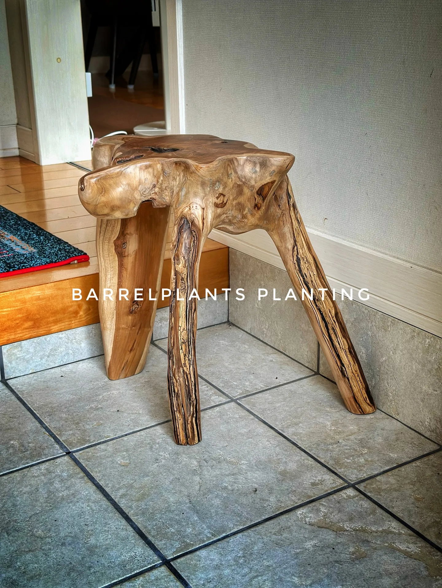 【お部屋の空間にあった植物をコーディネート、barrelpl...