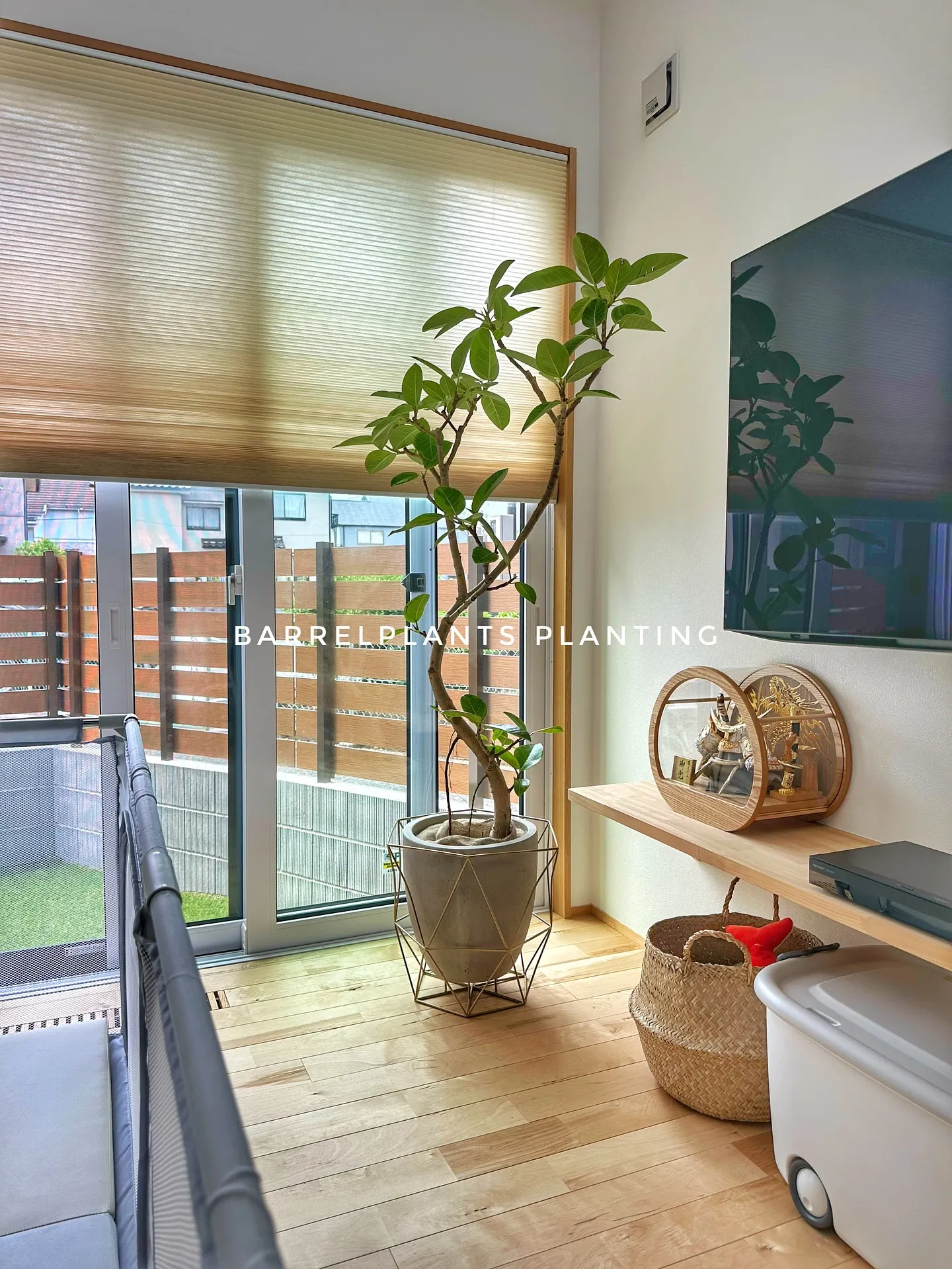 【お部屋の空間にあった植物をコーディネート、barrelpl...
