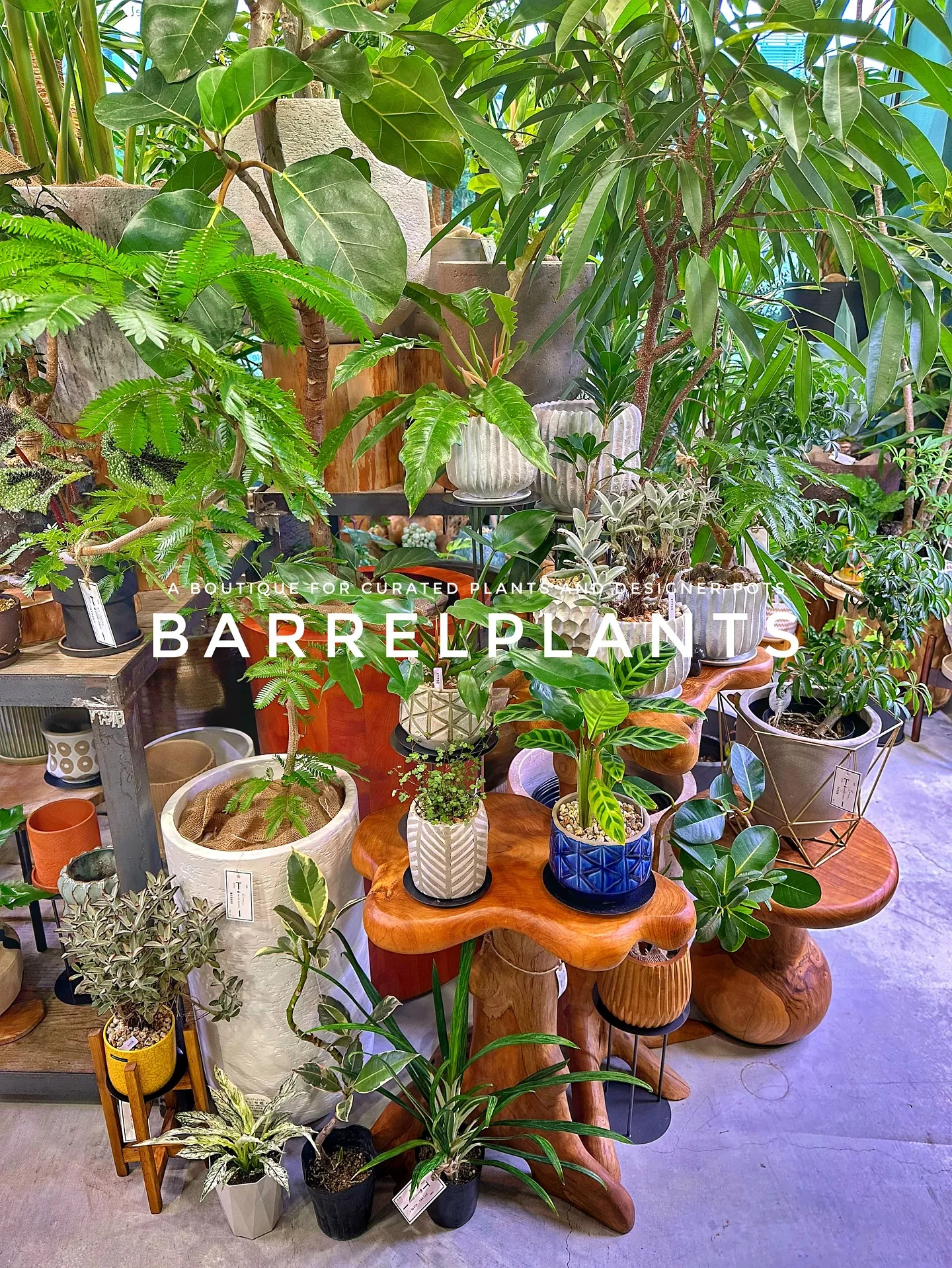 【兵庫県たつの市にある植物専門店、barrelplants】