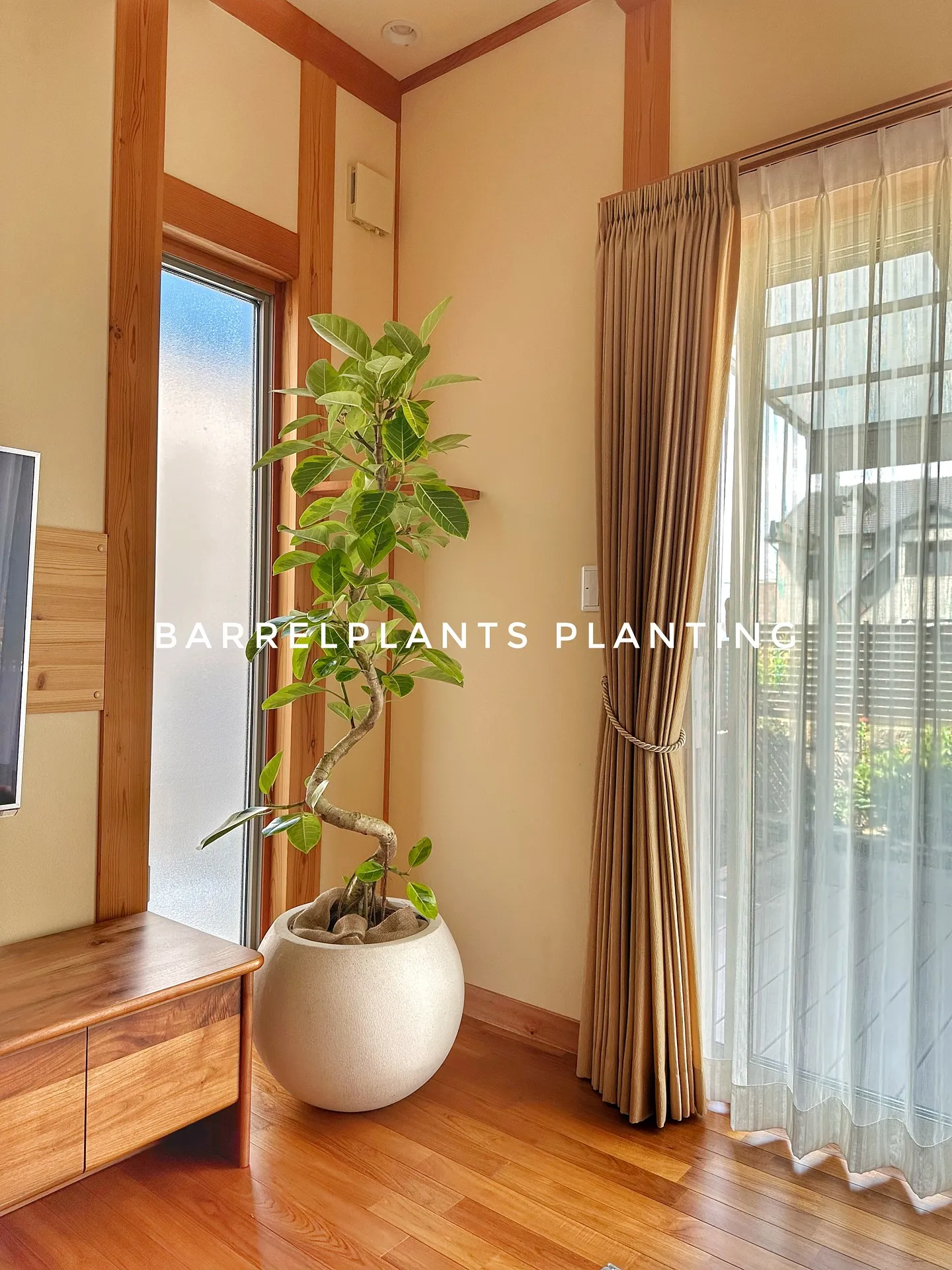 【お部屋にに合う植物をコーディネート、植物専門店barrel...