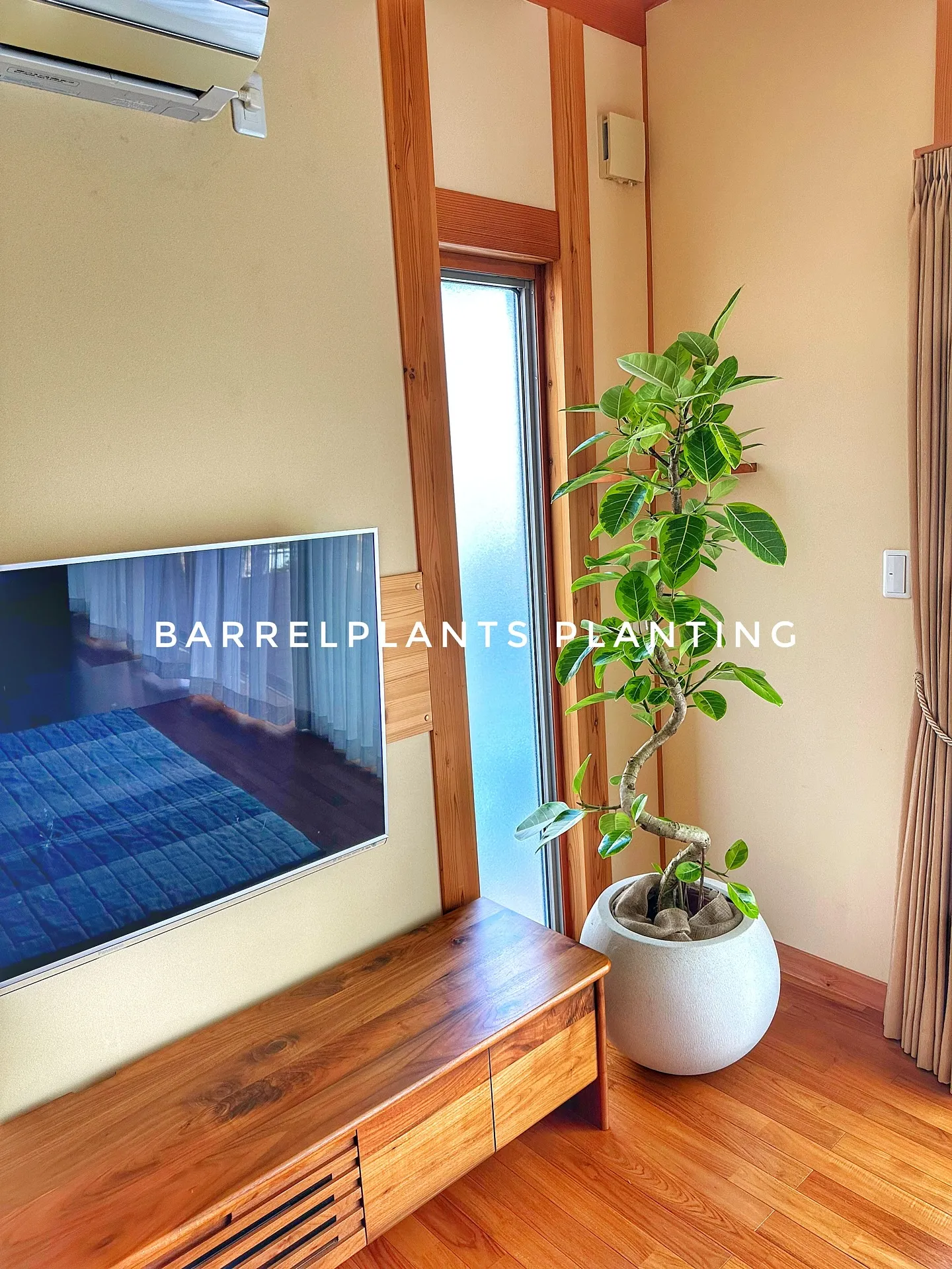 【お部屋にに合う植物をコーディネート、植物専門店barrel...