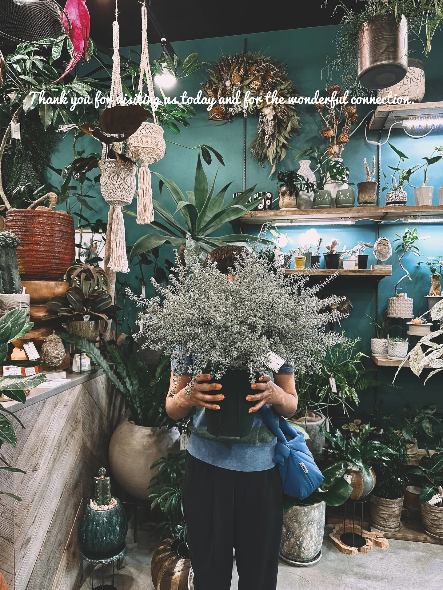 【お部屋にに合う植物をコーディネート、植物専門店barrel...