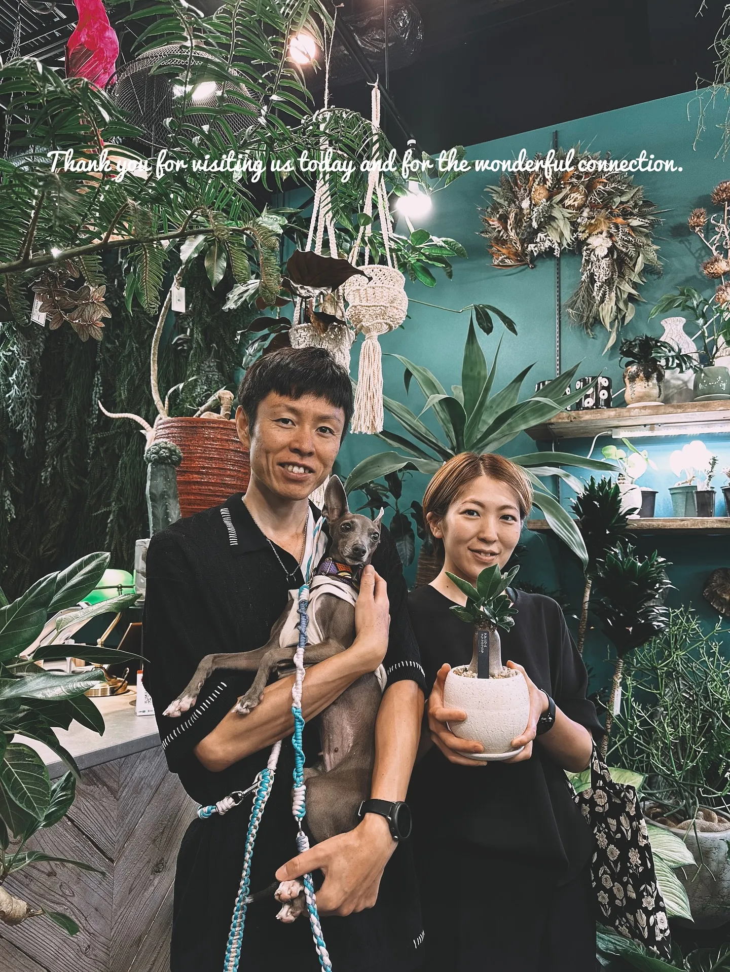 【お部屋にに合う植物をコーディネート、植物専門店barrel...