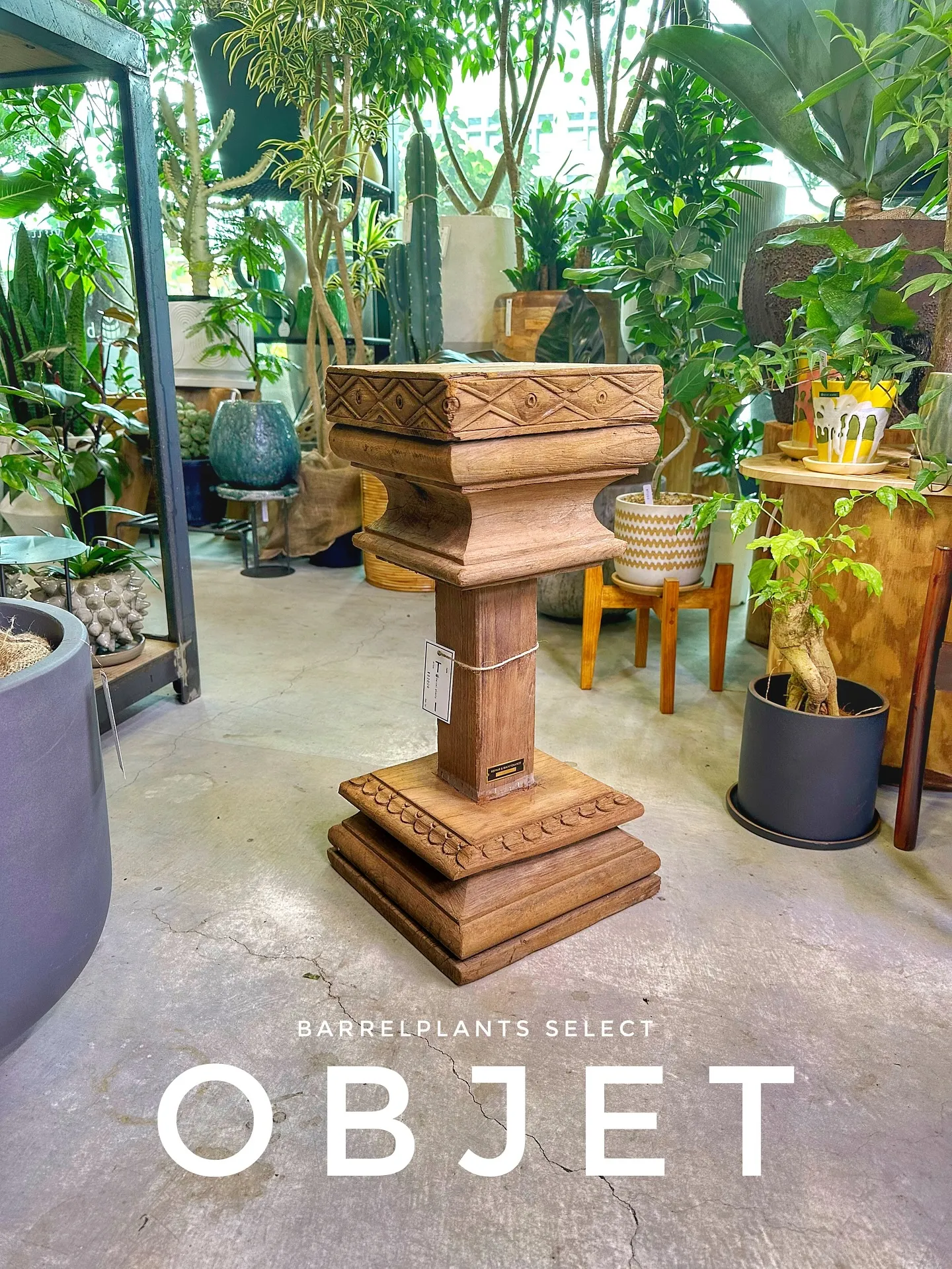 【お部屋にに合う植物をコーディネート、植物専門店barrel...