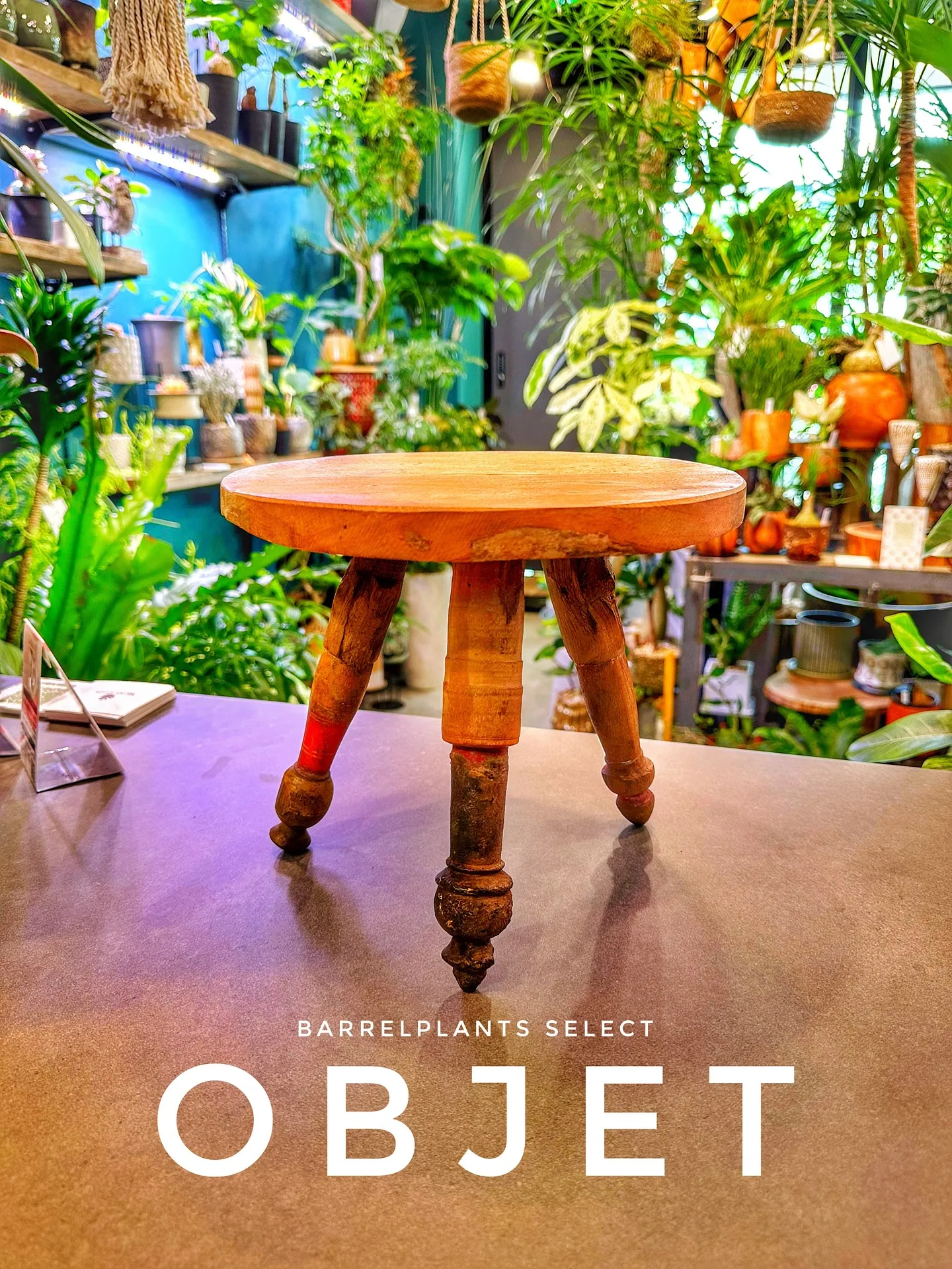 【お部屋にに合う植物をコーディネート、植物専門店barrel...
