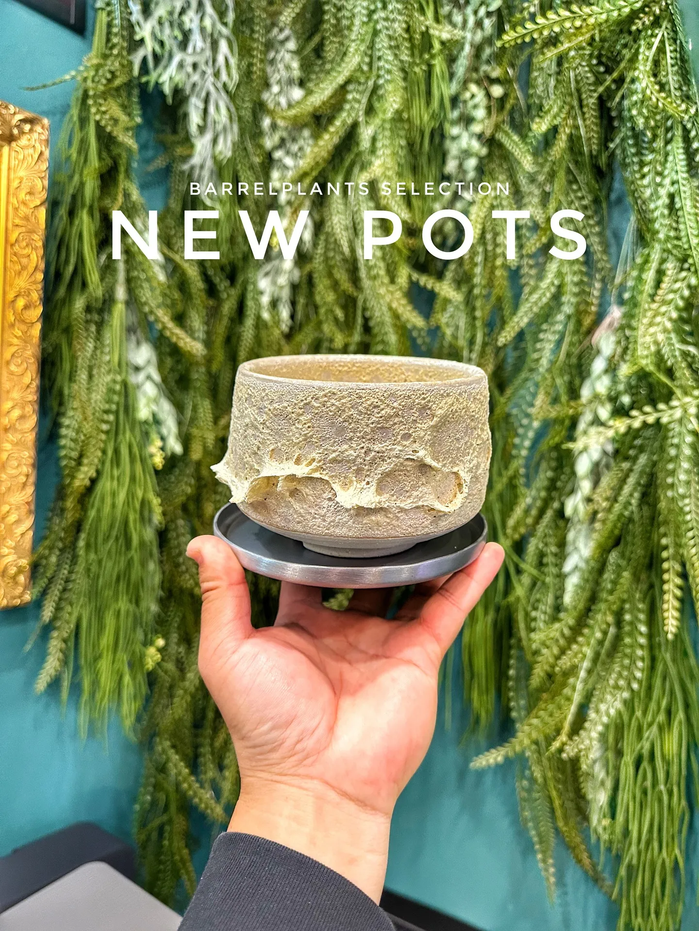 【お部屋にに合う植物をコーディネート、植物専門店barrel...