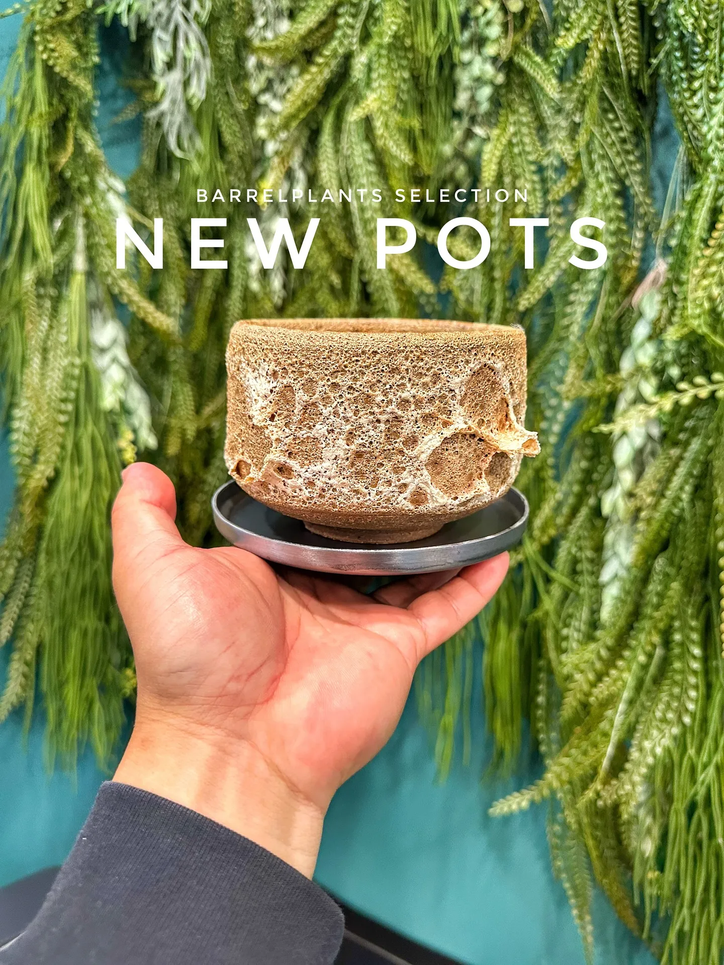 【お部屋にに合う植物をコーディネート、植物専門店barrel...