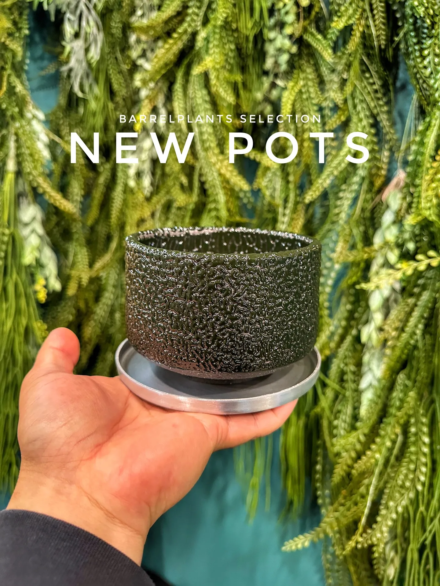 【お部屋にに合う植物をコーディネート、植物専門店barrel...