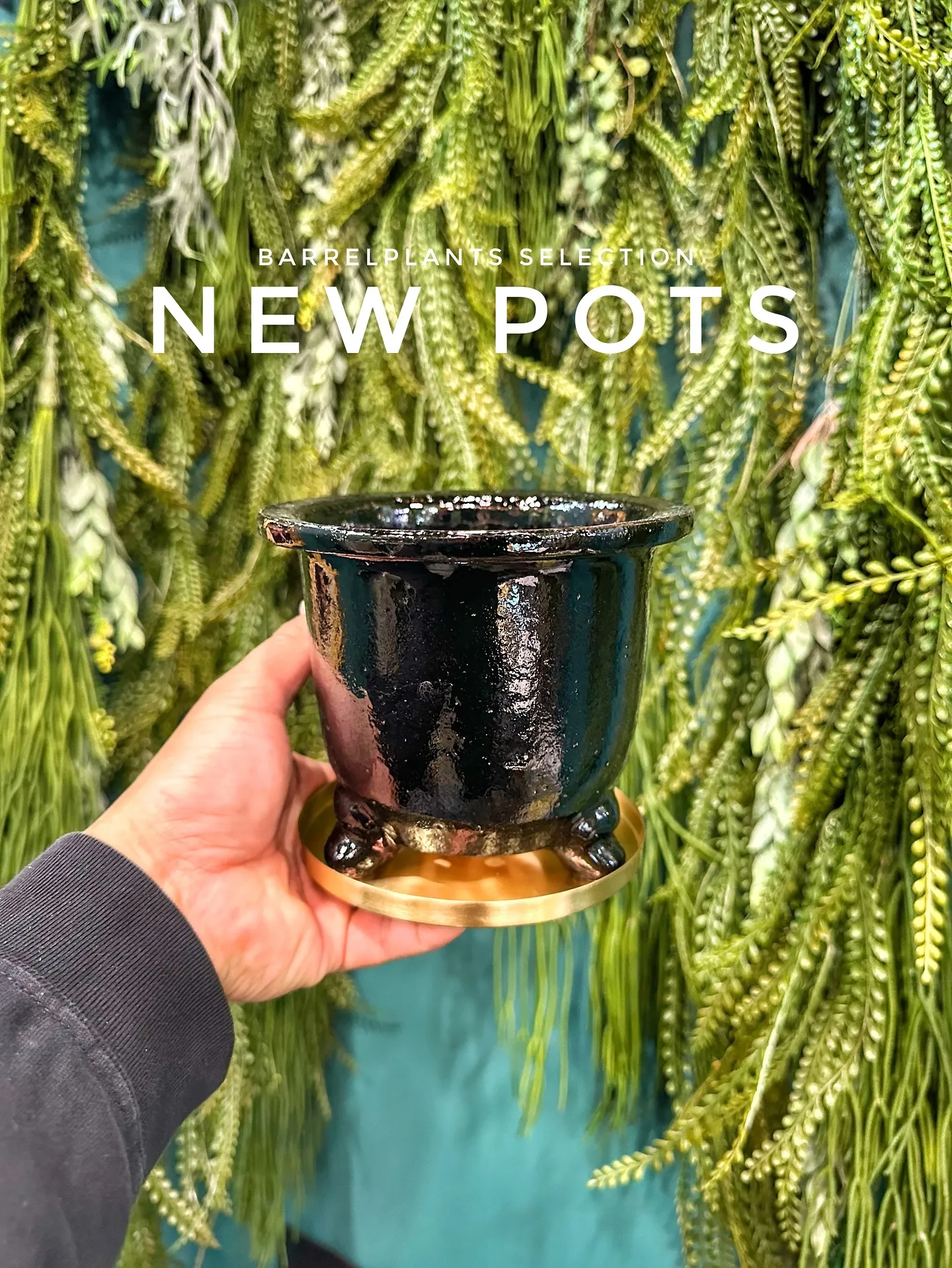 【お部屋にに合う植物をコーディネート、植物専門店barrel...