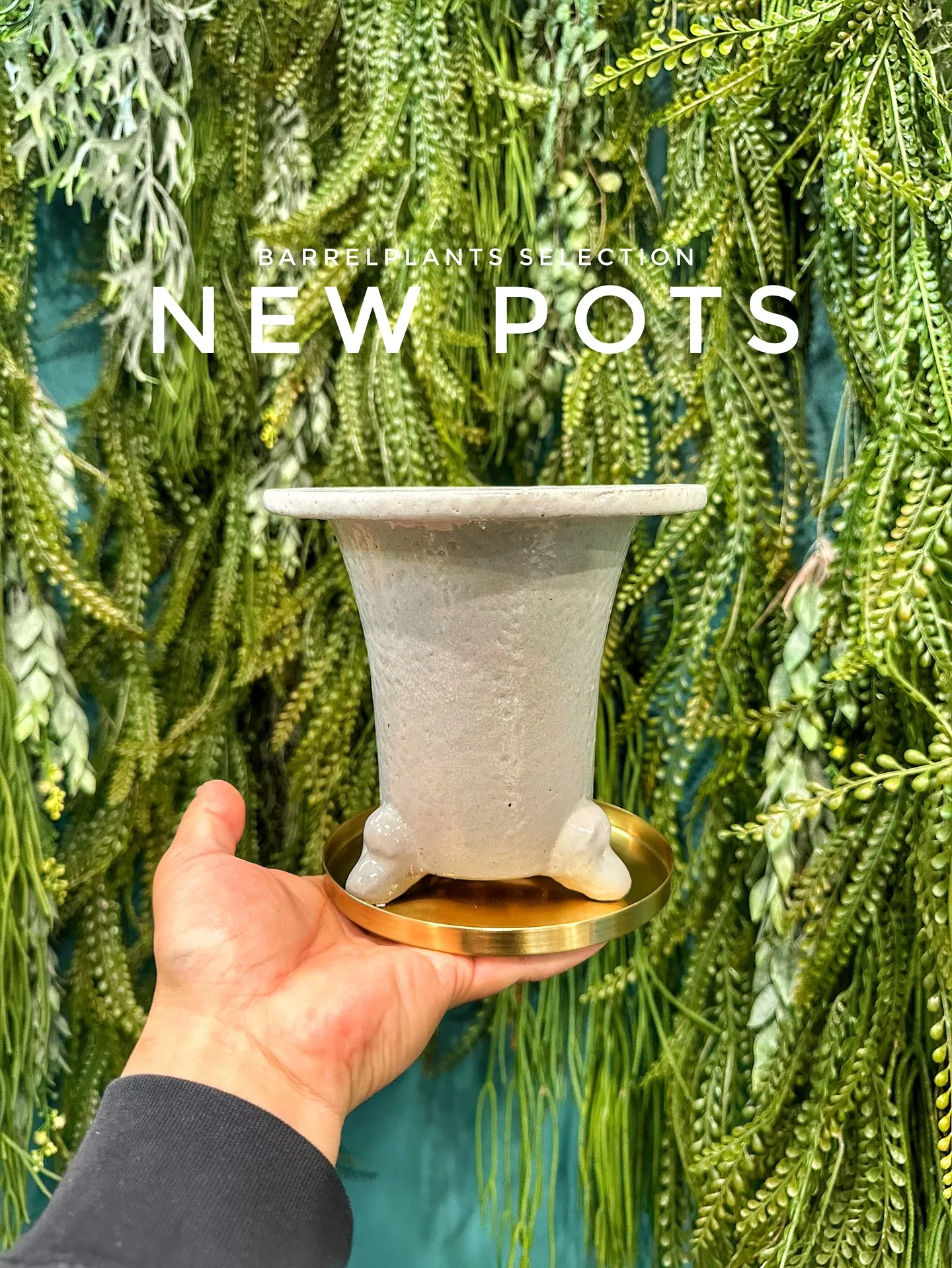 【お部屋にに合う植物をコーディネート、植物専門店barrel...