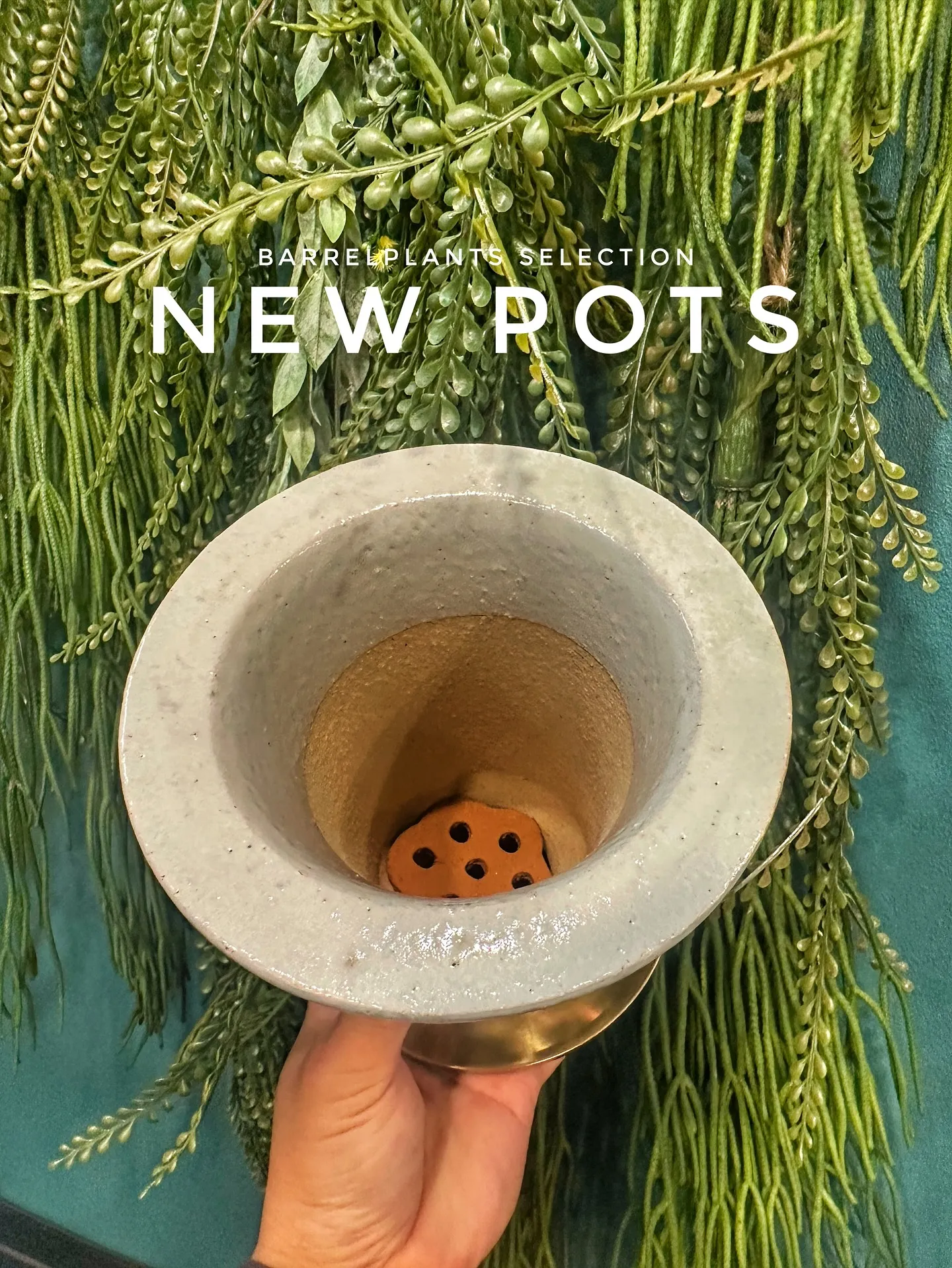 【お部屋にに合う植物をコーディネート、植物専門店barrel...