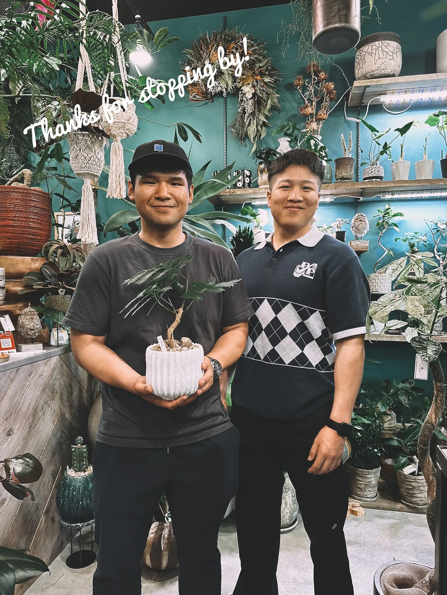 【白い空間に白い鉢と繊細なフォルムの植物「ソフォラ」を添えて...