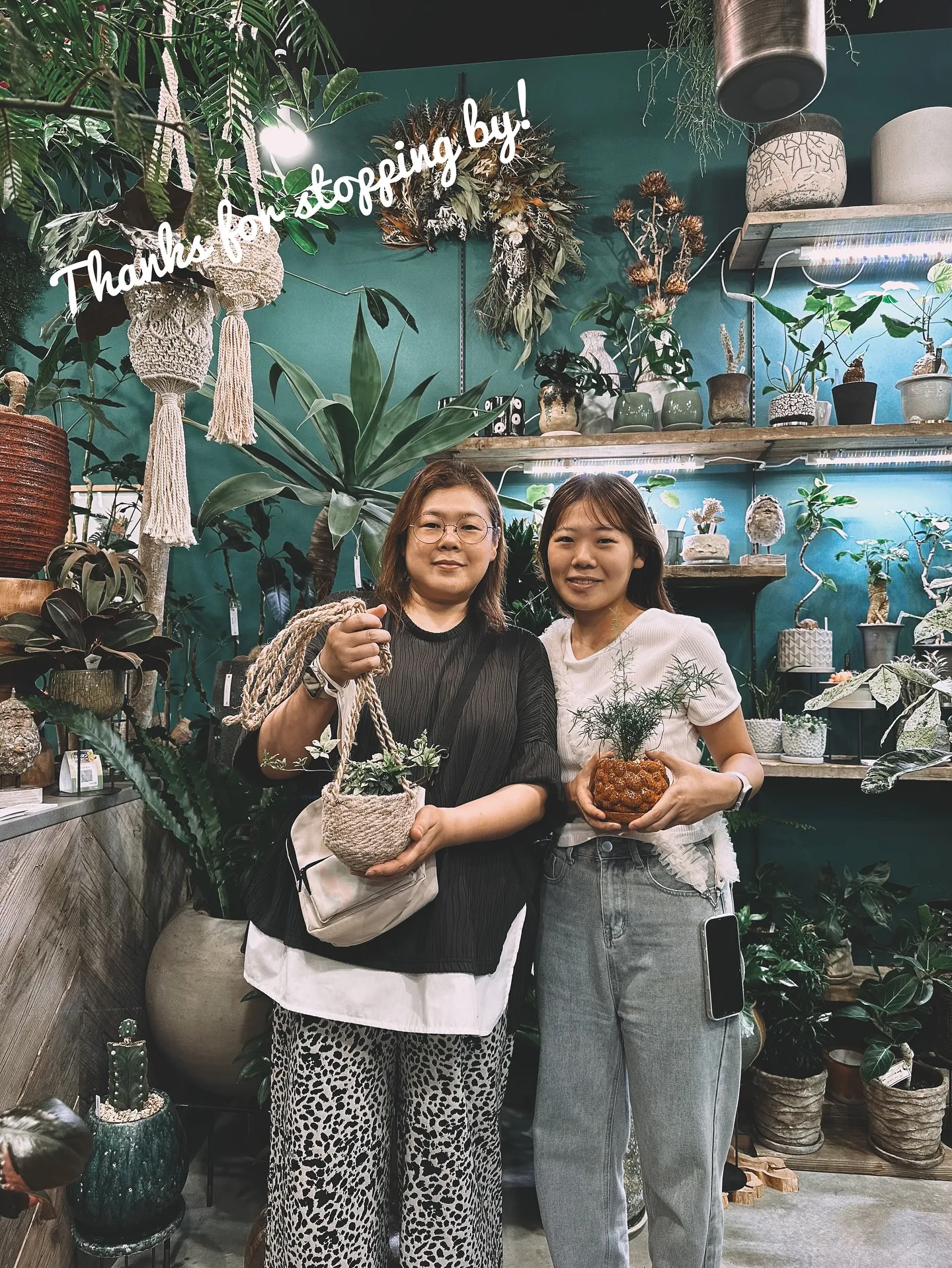 【白い空間に白い鉢と繊細なフォルムの植物「ソフォラ」を添えて...