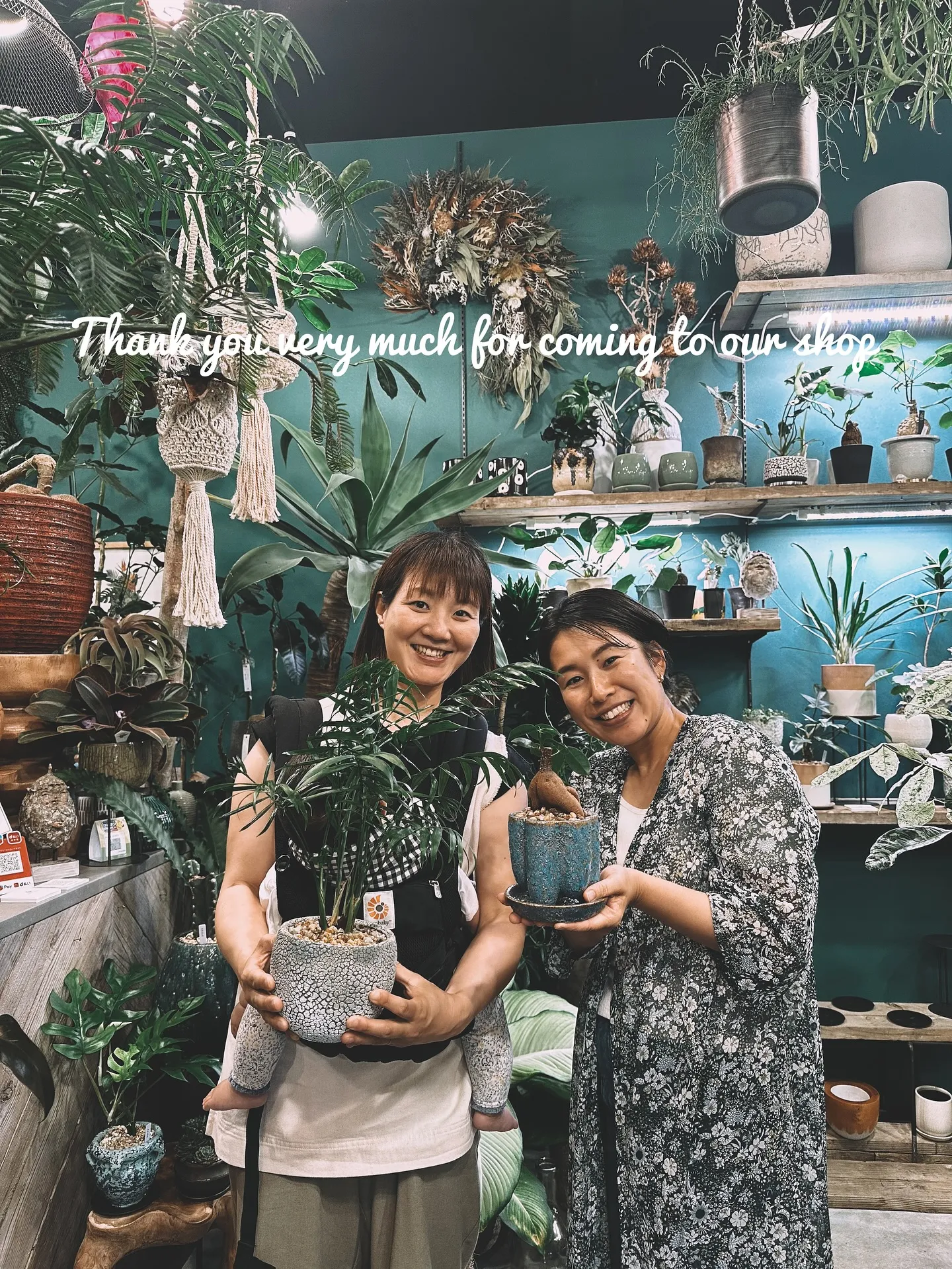 【素敵なラインナップの植え込み多数販売中！植物専門店barr...