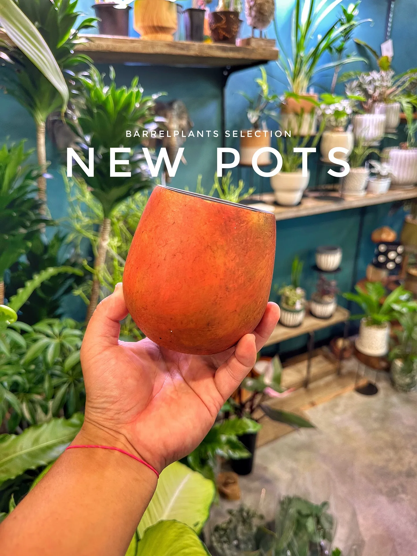 【本日も素敵な鉢が大量入荷！植物専門店barrelplant...