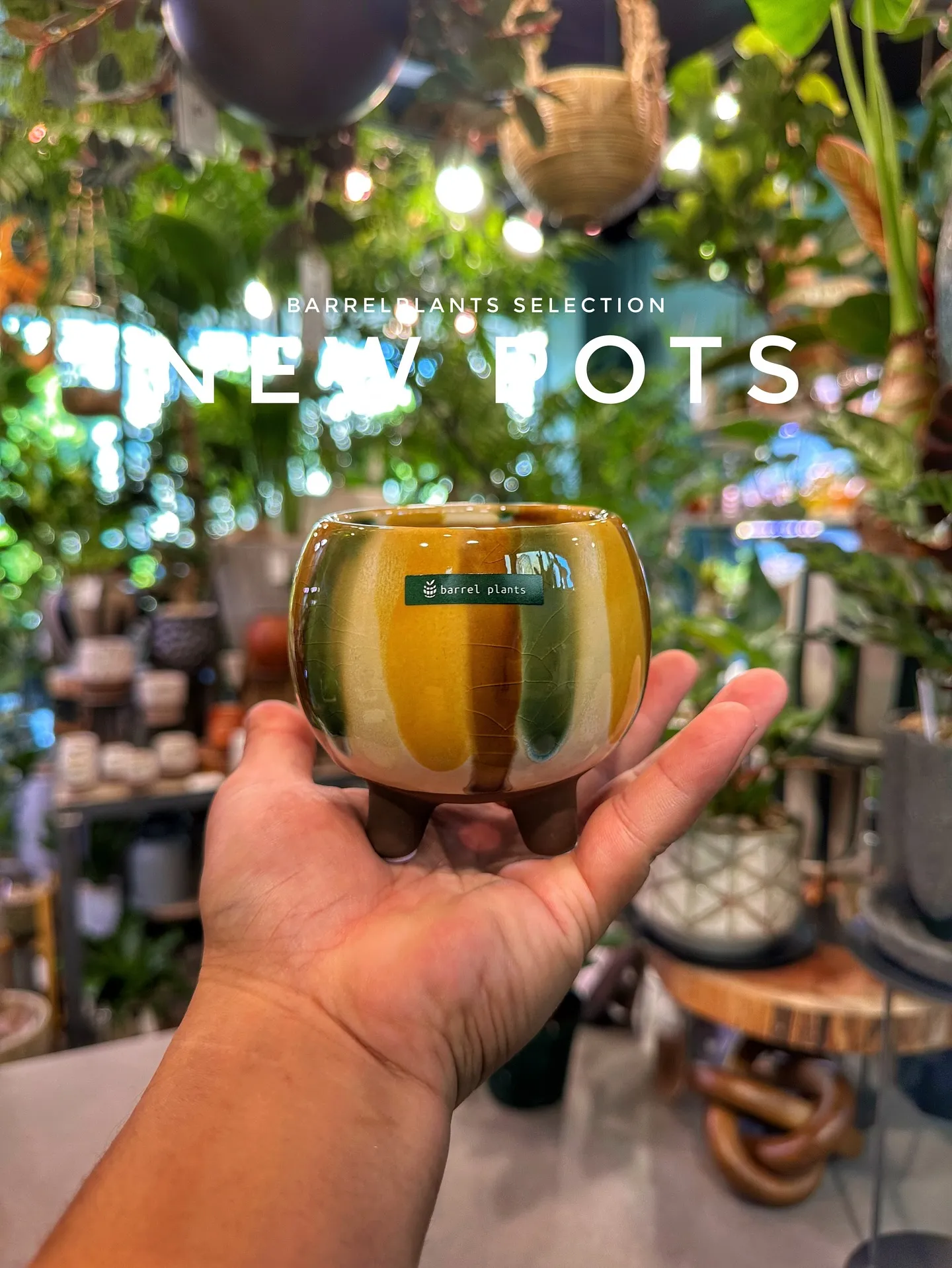 【本日も素敵な鉢が大量入荷！植物専門店barrelplant...