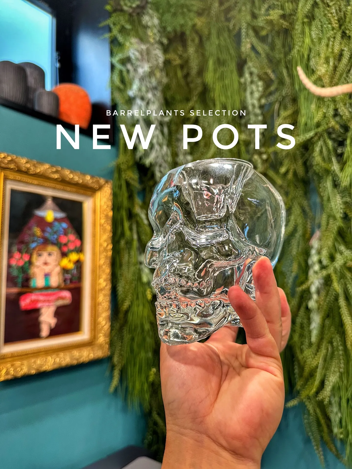 【本日も素敵な鉢が大量入荷！植物専門店barrelplant...