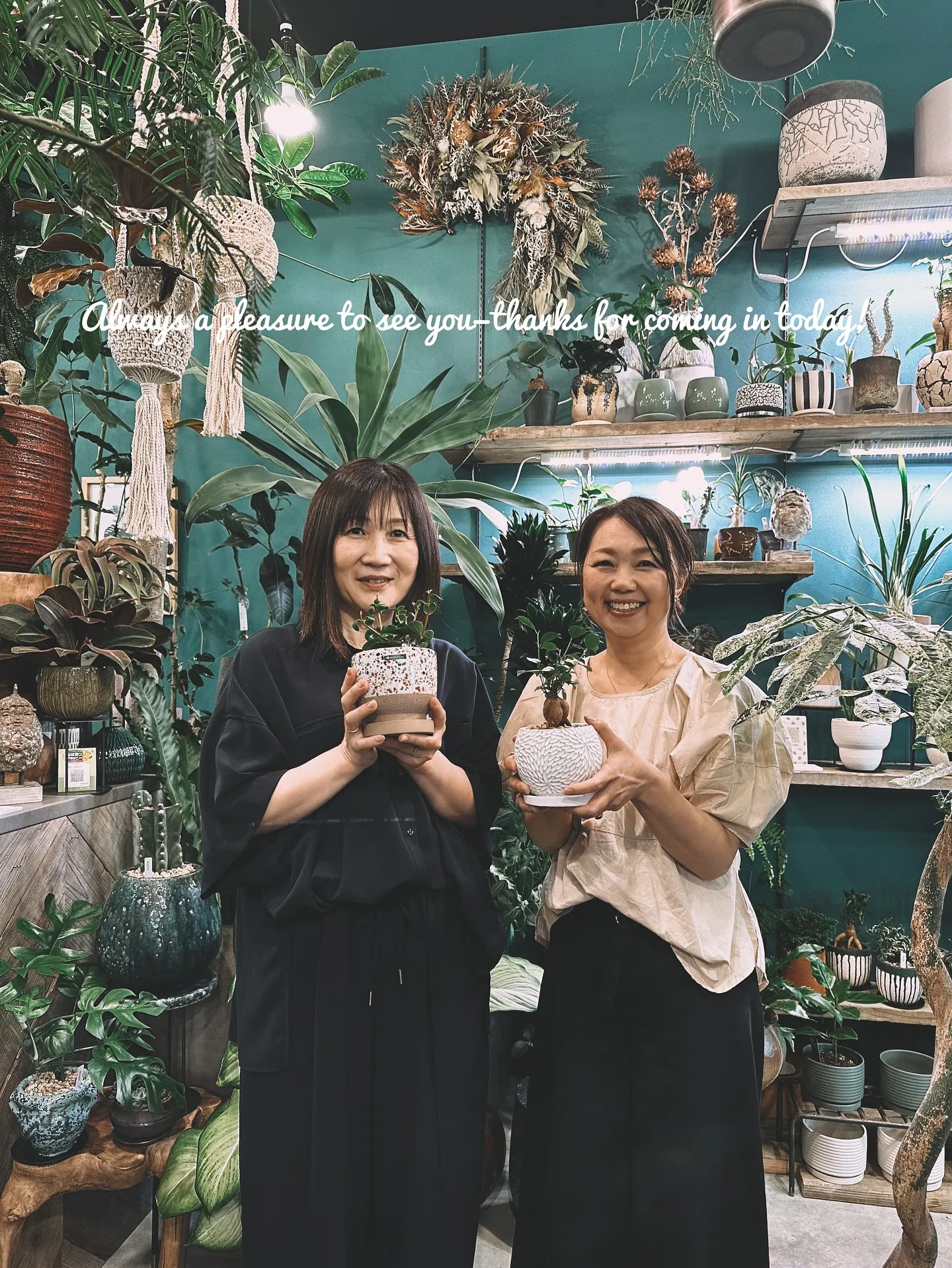 【こだわりの植物とこだわりの植物多数入荷！黙々植え込み準備中...