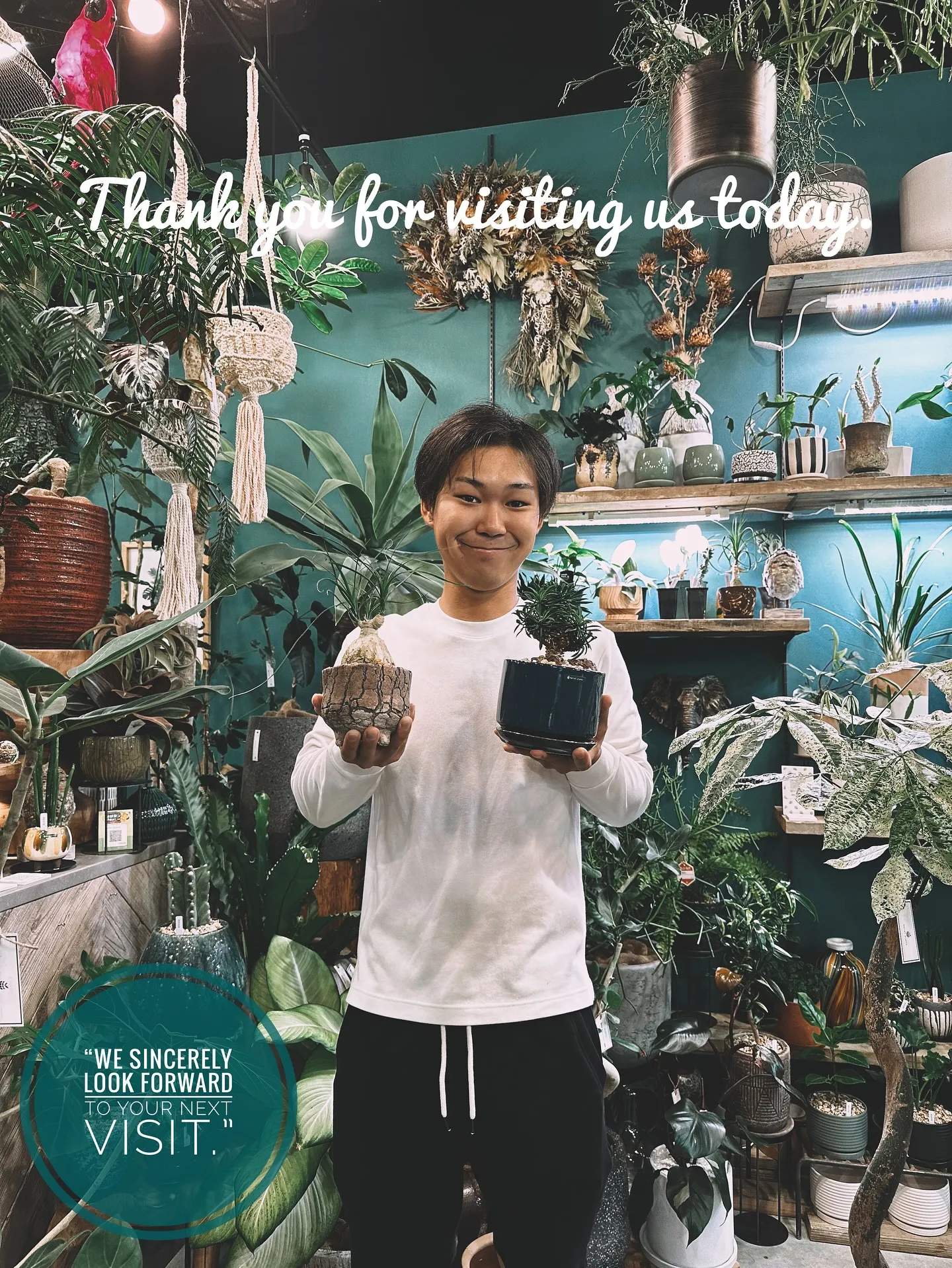 【こだわりの植物とこだわりの鉢が多数入荷！植物専門店barr...