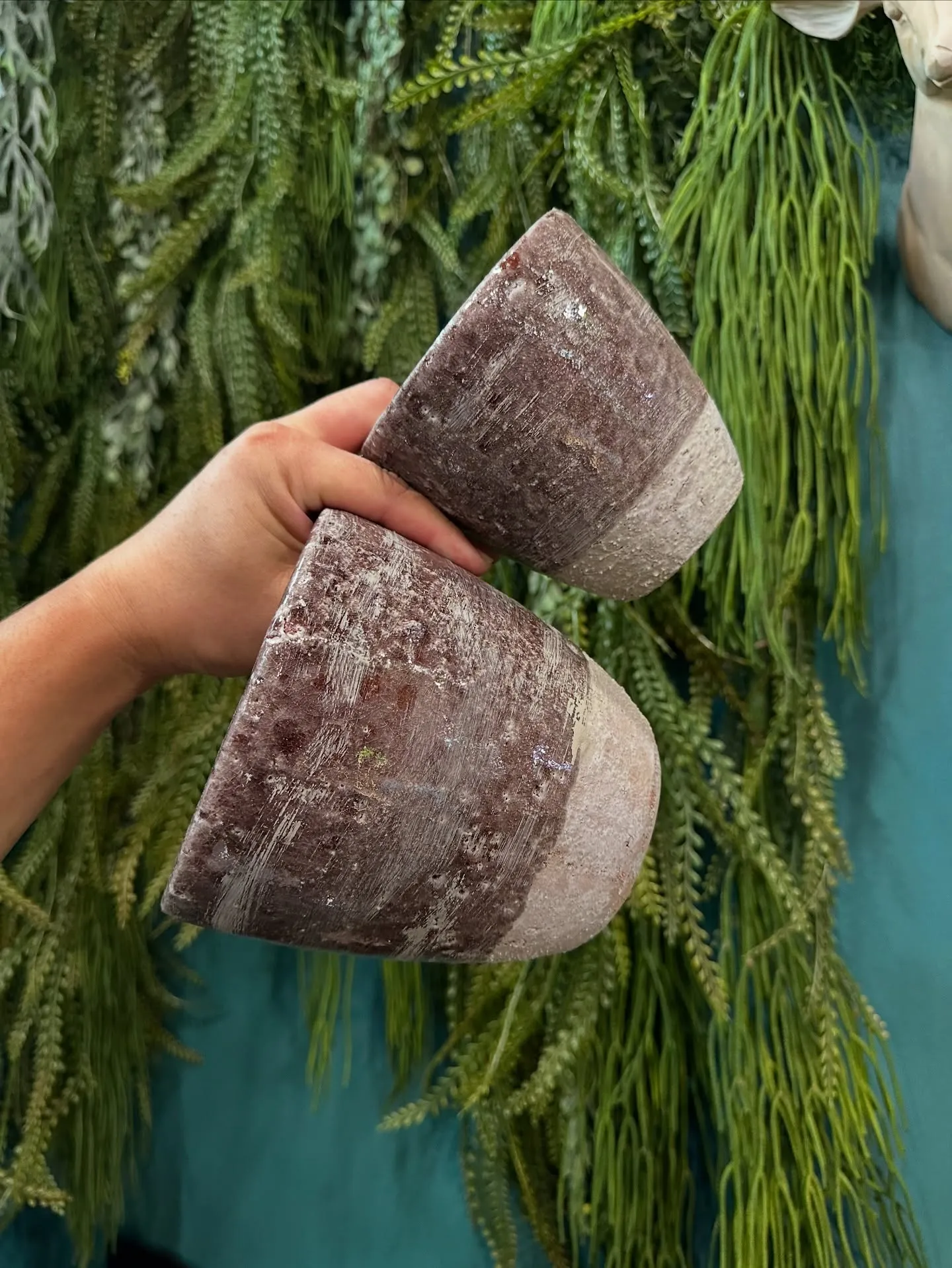 【こだわりの鉢とこだわりの植物をコーディネートするお店、ba...
