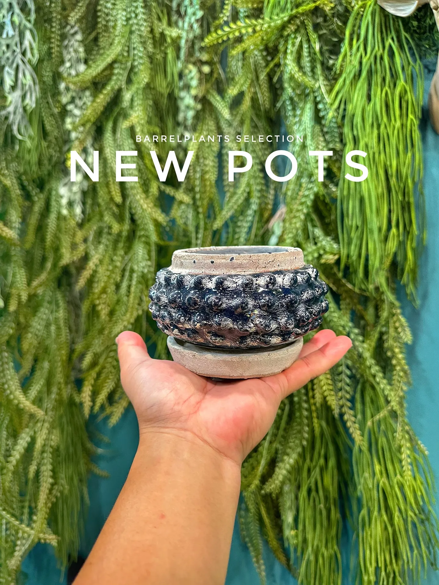 【こだわりの鉢とこだわりの植物をコーディネートするお店、ba...