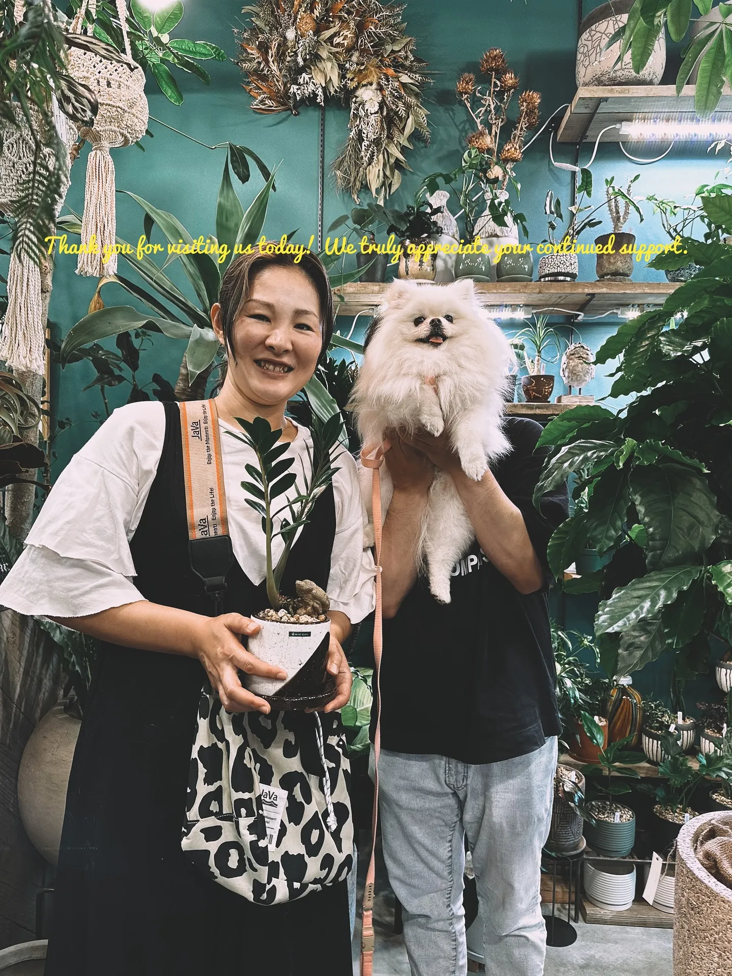【兵庫県にある、感性で選ぶ植物と鉢の専門店。