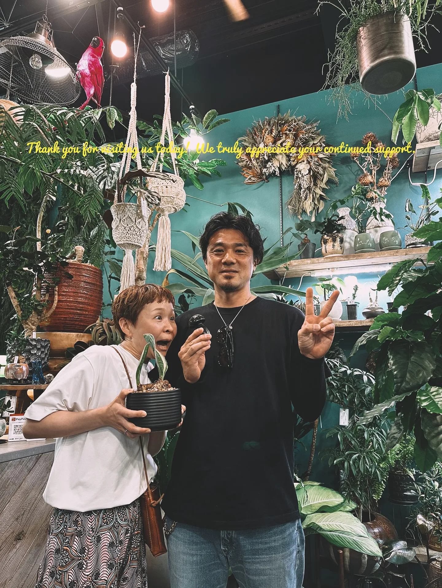 【兵庫県にある、感性で選ぶ植物と鉢の専門店。