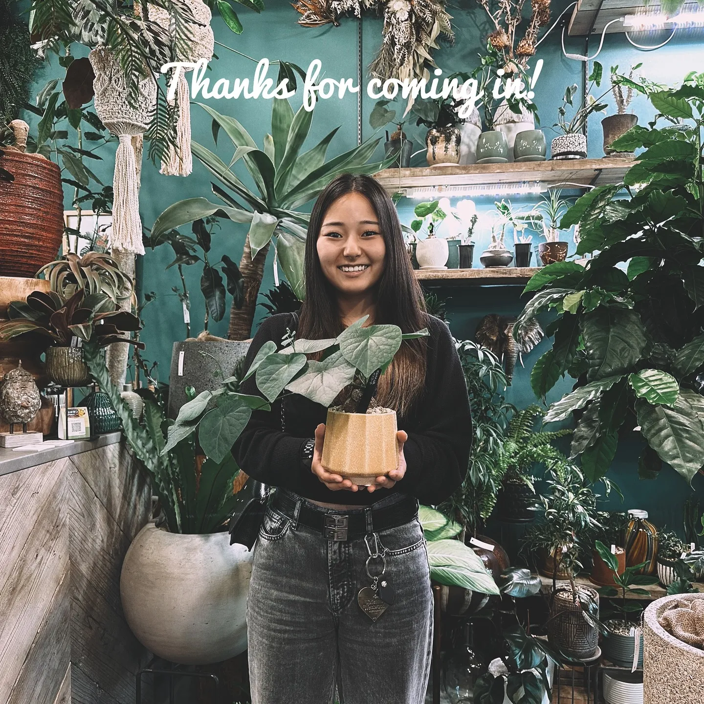 【植物専門店barrelplants、ネットショッピング追加...