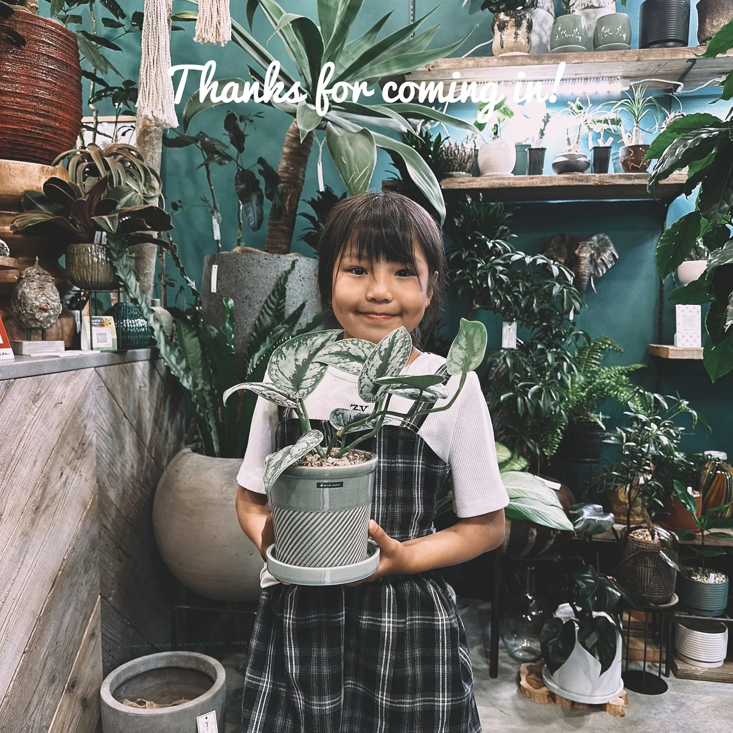 【植物専門店barrelplants、ネットショッピング追加...